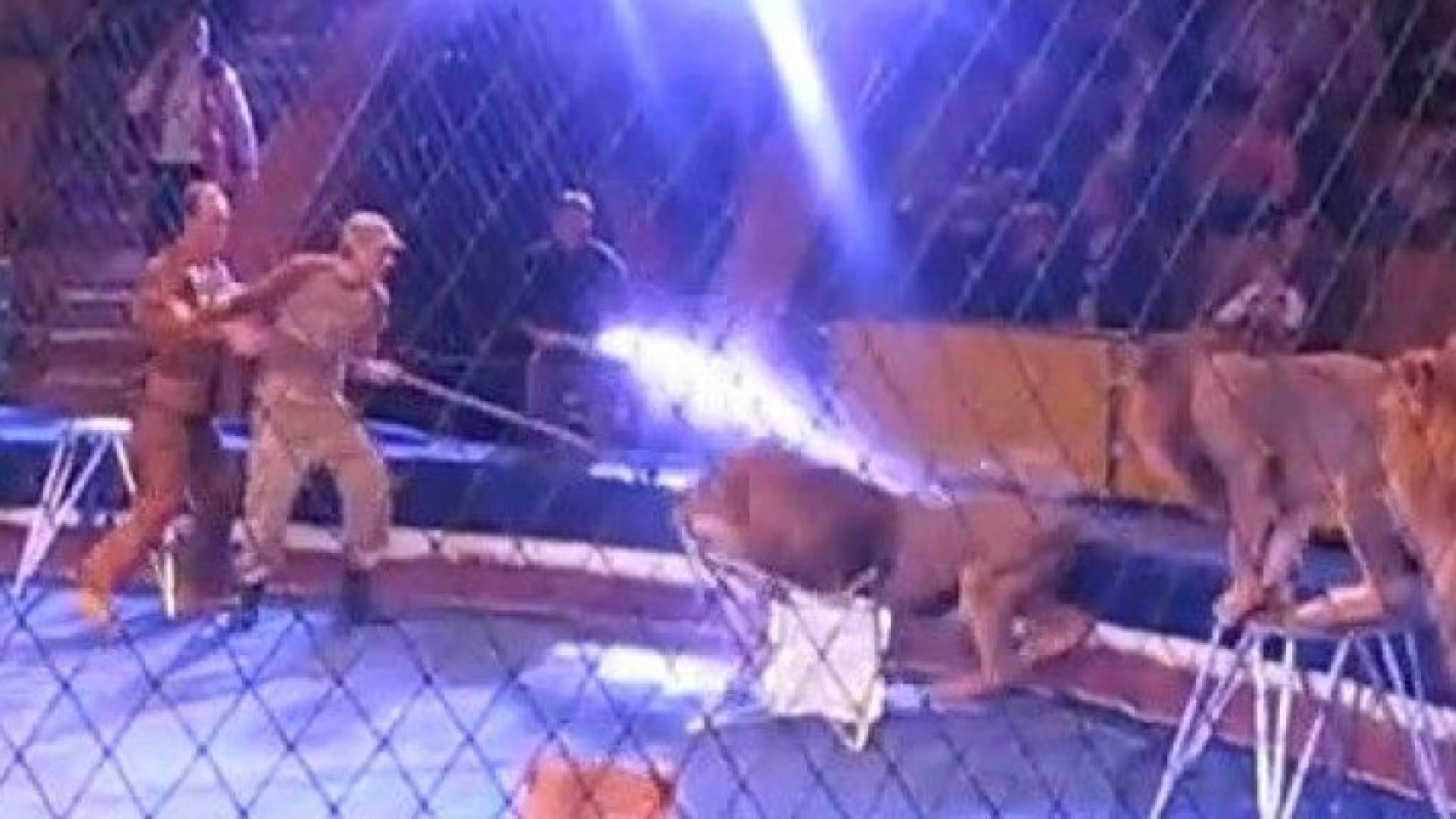 الصورة من الفيديو