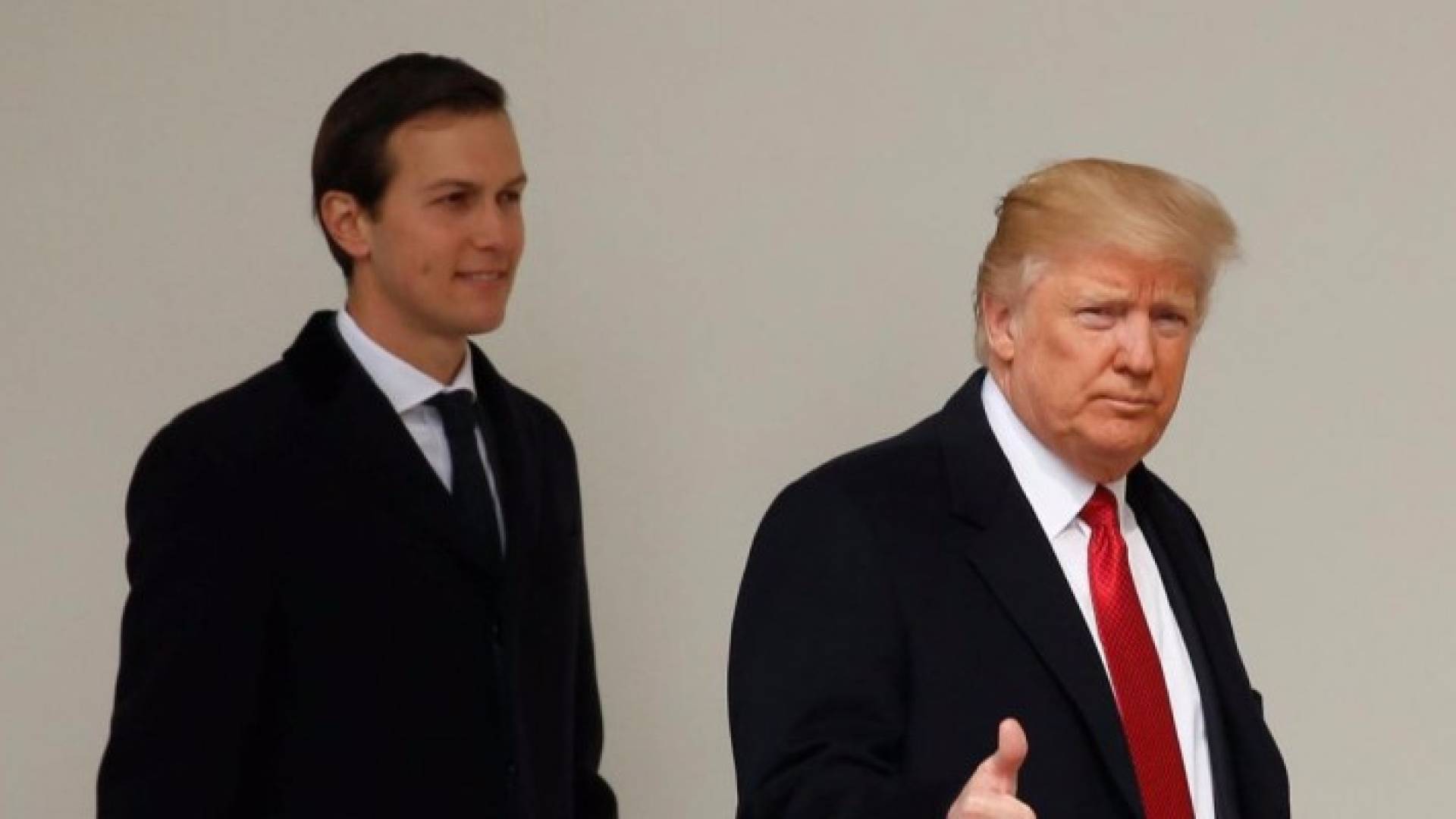 ترامب وكوشنير