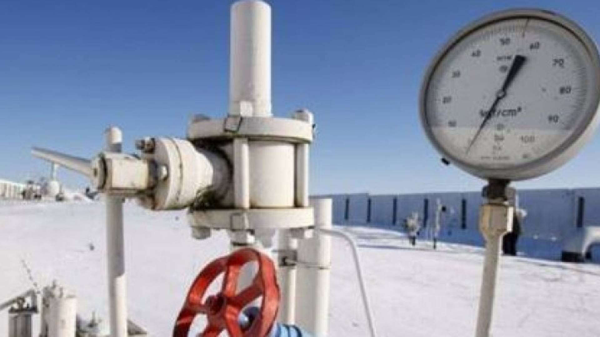 الصورة تعبيرية 