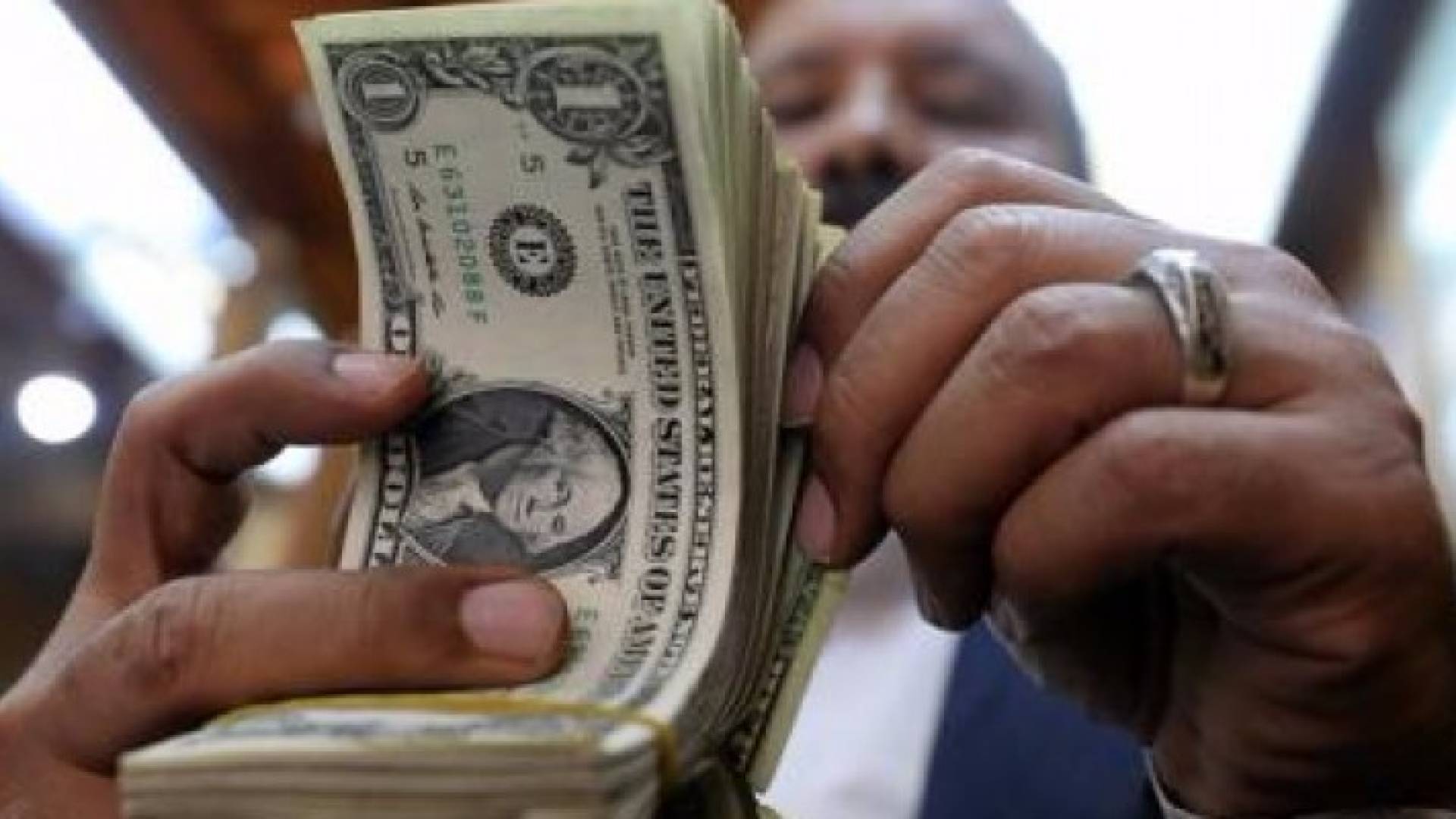 رجل يعد دولارات امريكية في شركة للصرافة في القاهرة - رويترز 