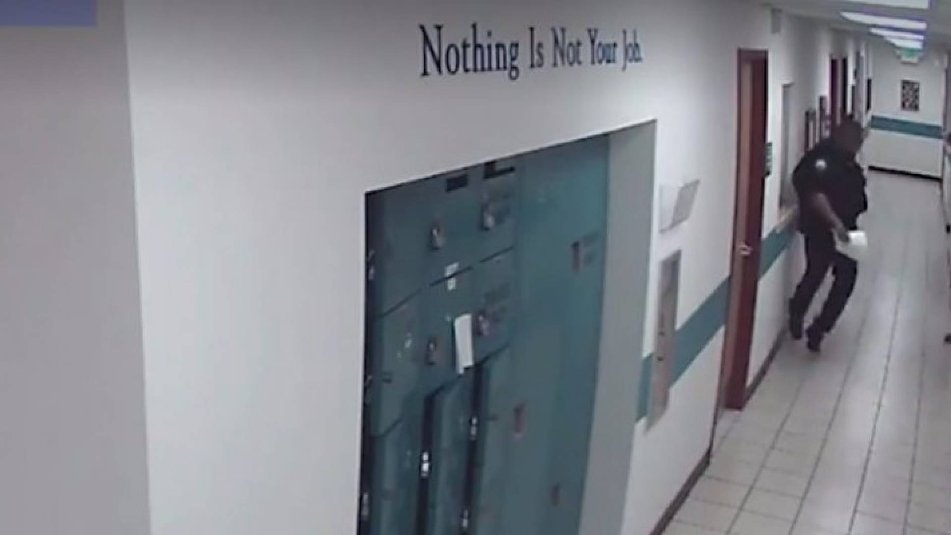 صورة من الفيديو 