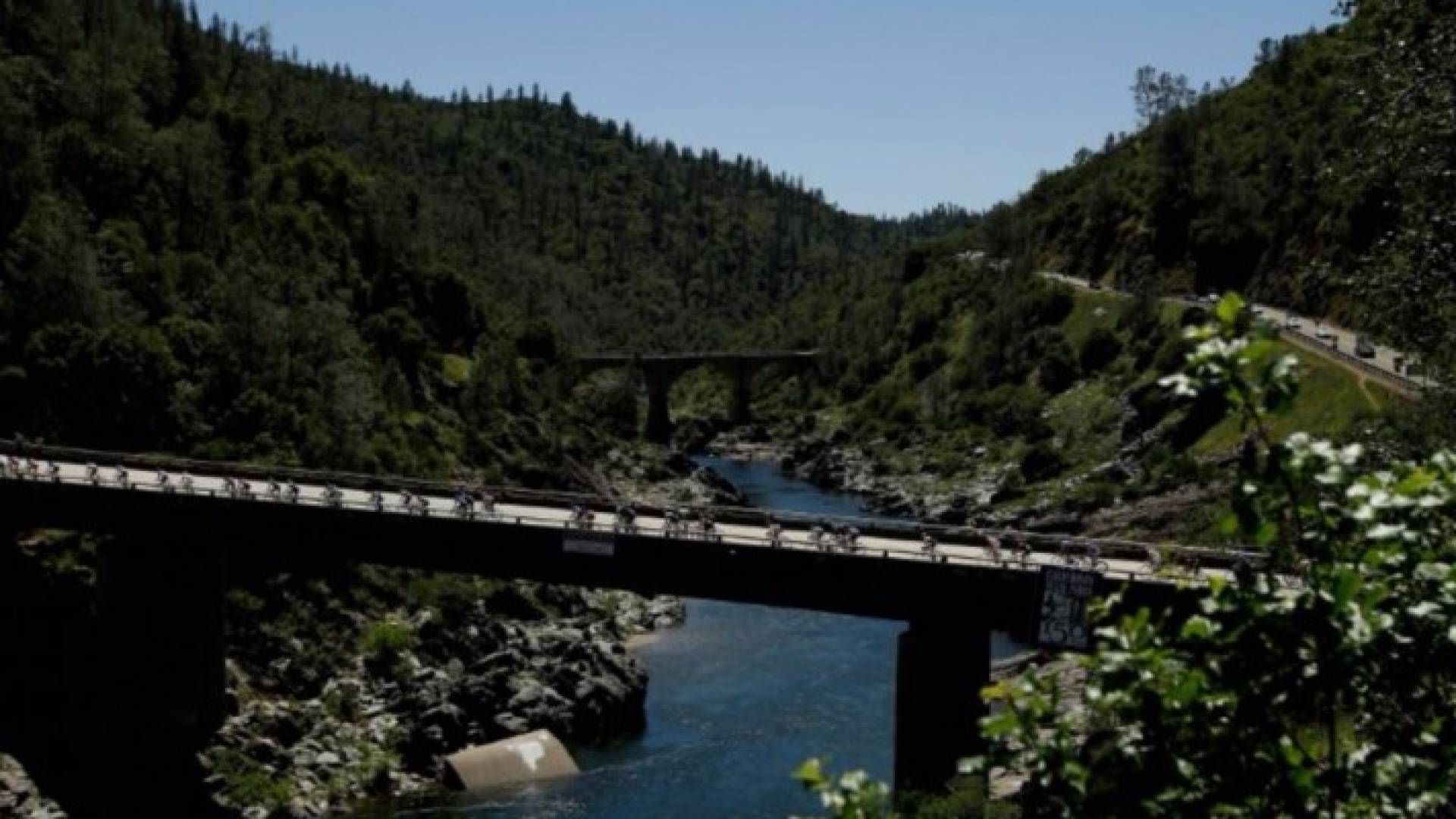 تعبيريةجسر فورست هل في ولاية كاليفورنيا