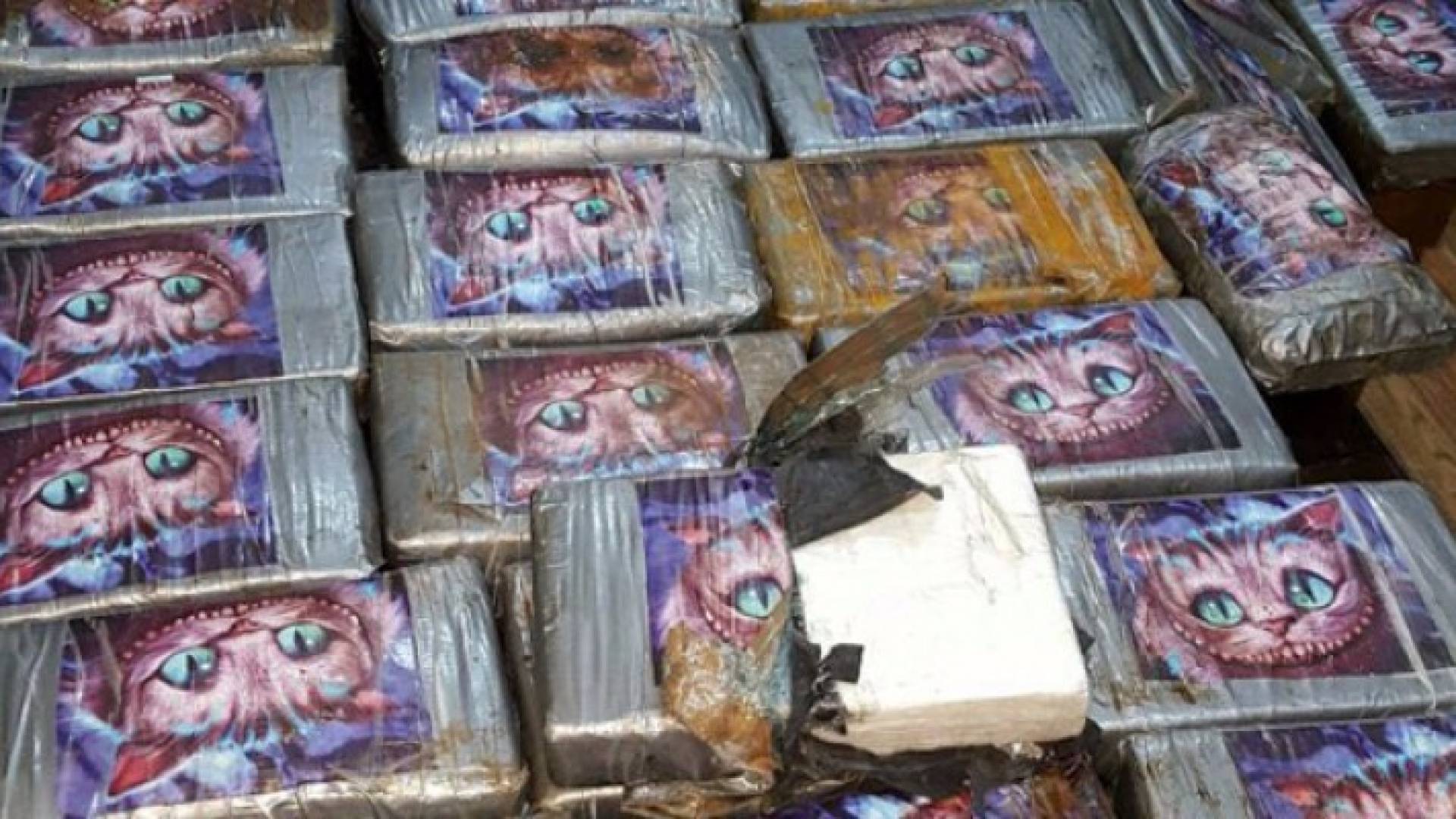 صورة من المضبوطات