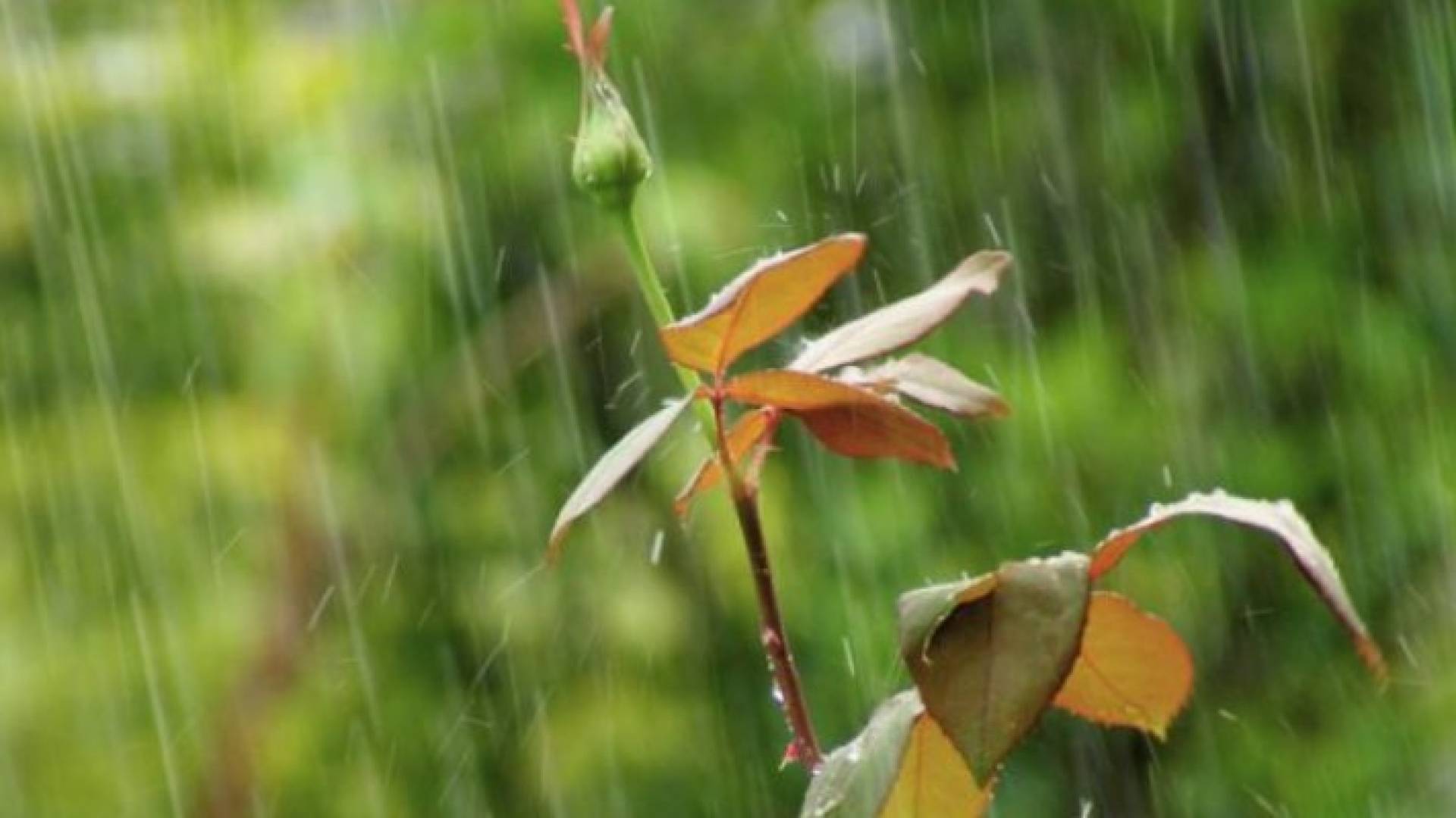 الصورة تعبيرية 