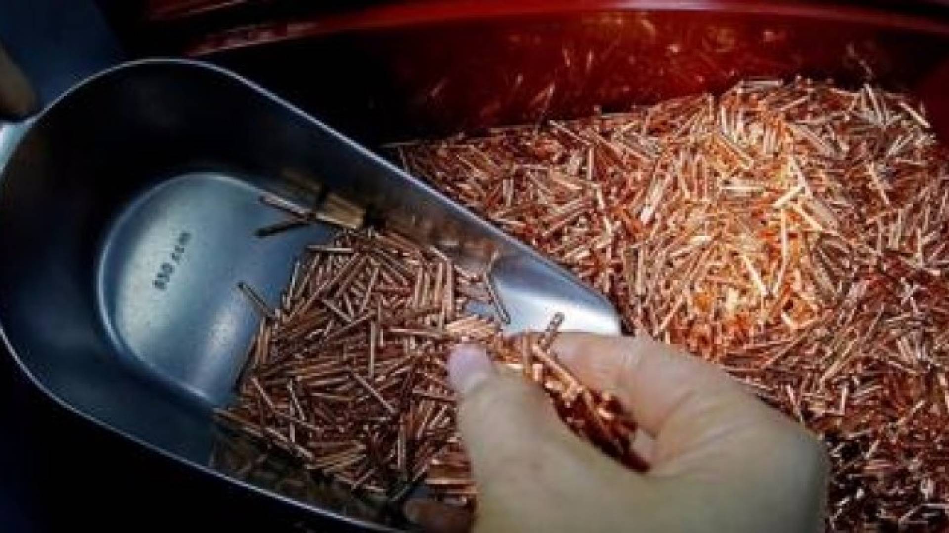 الصورة أرشيفية 