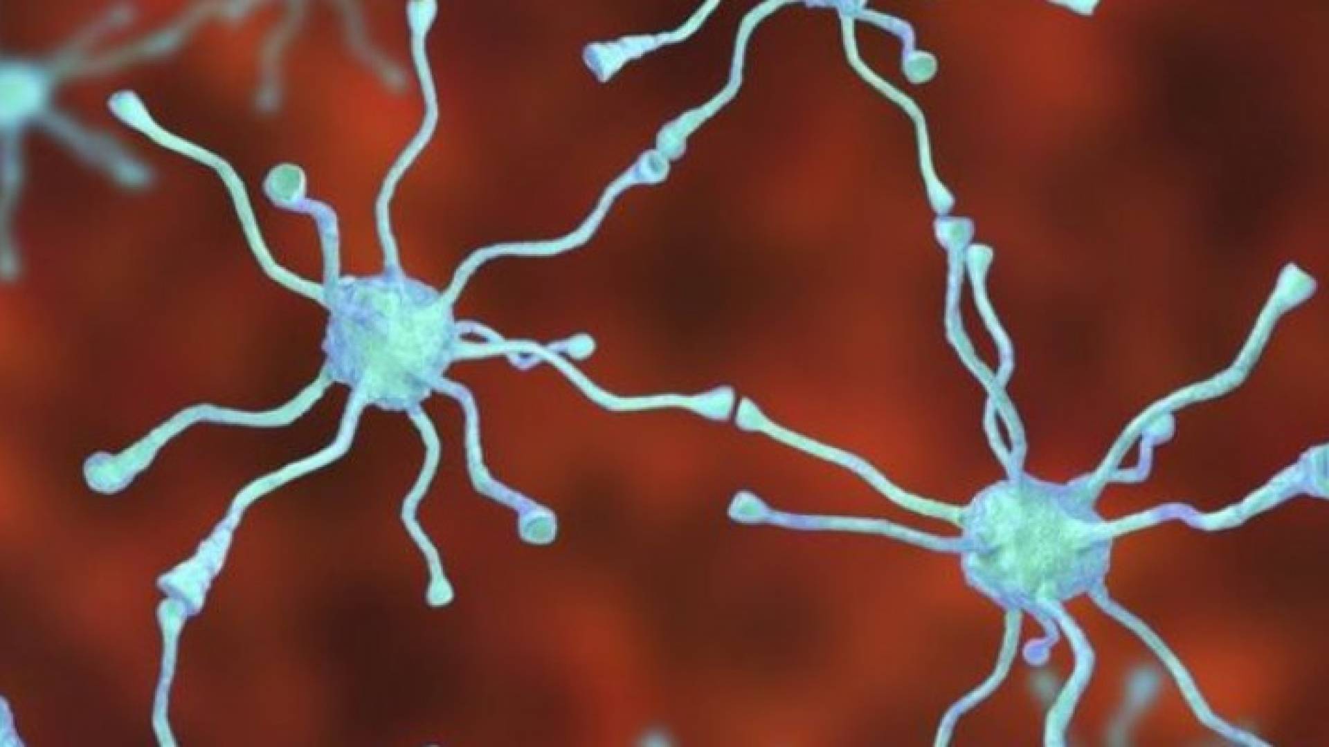 يبحث العلماء أيضا عن سبل لاستبدال الخلايا العصبية المنتجة للدوبامين عن طريق حقن خلايا جديدة في المخ 