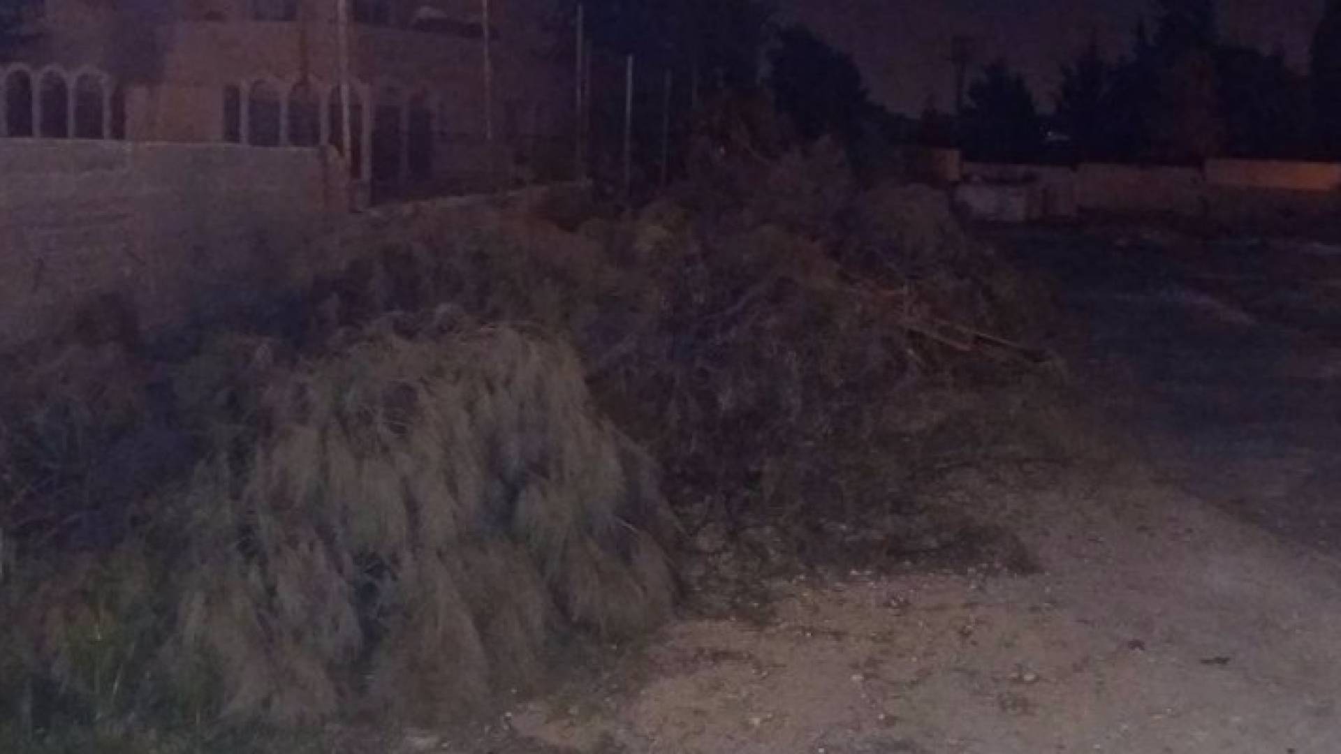 صور نشرها ناشطون