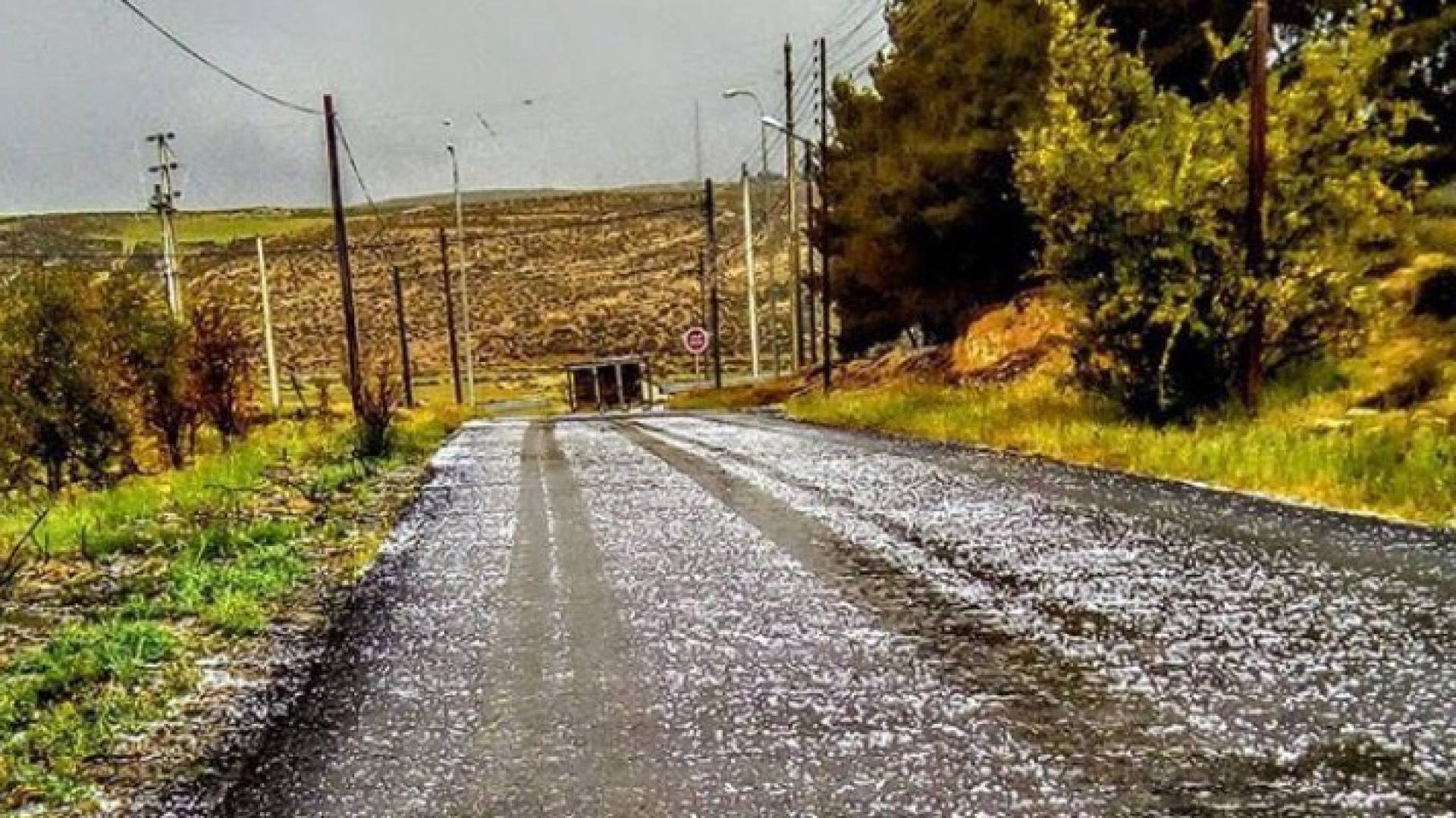 صورة من الأمطار في الشوبك