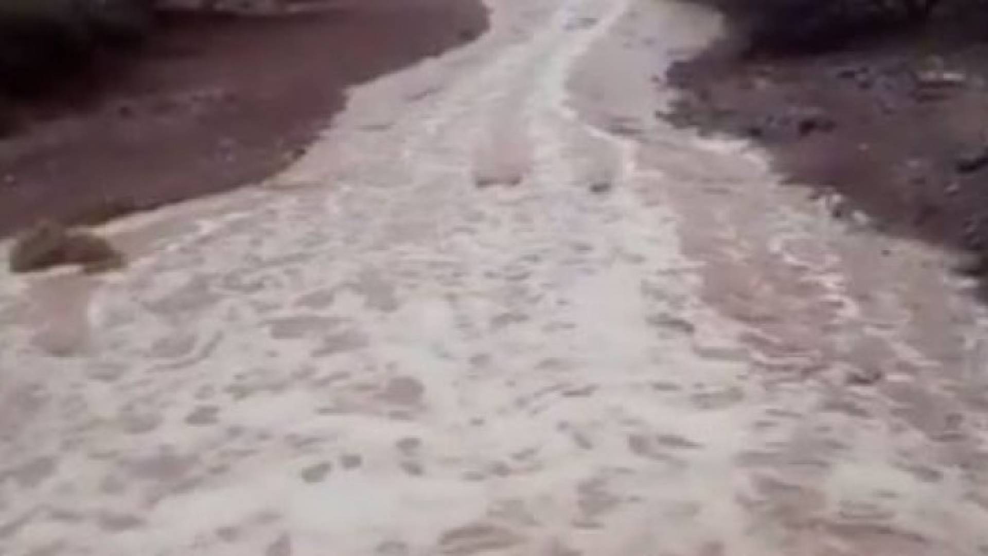 صورة من الفيديو