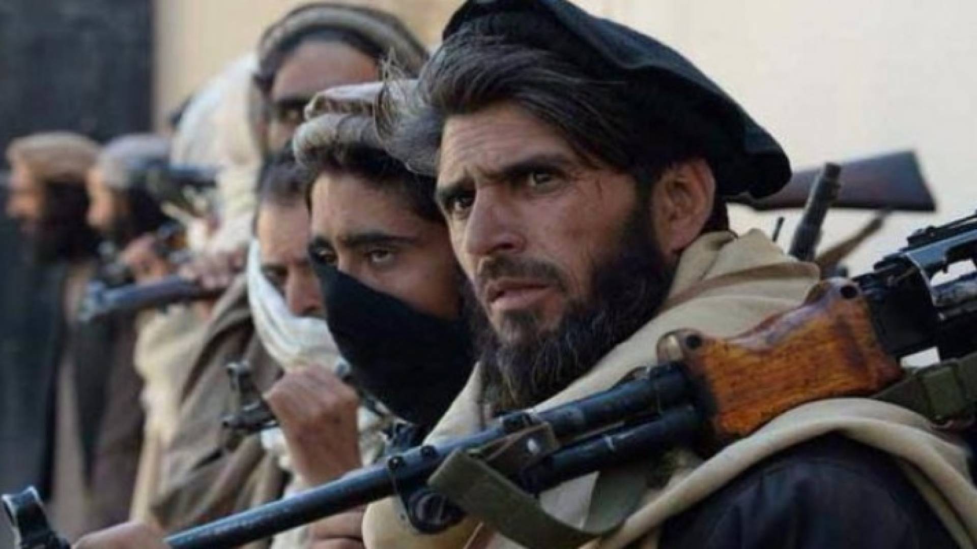 ارشيفية