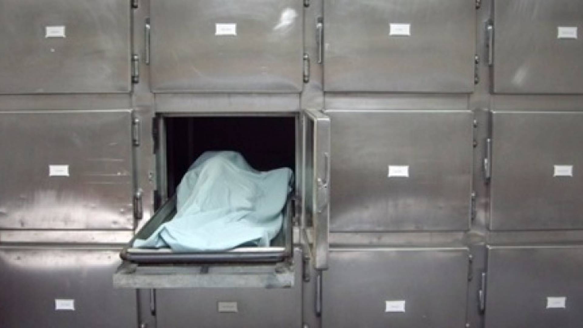 الصورة تعبيرية 