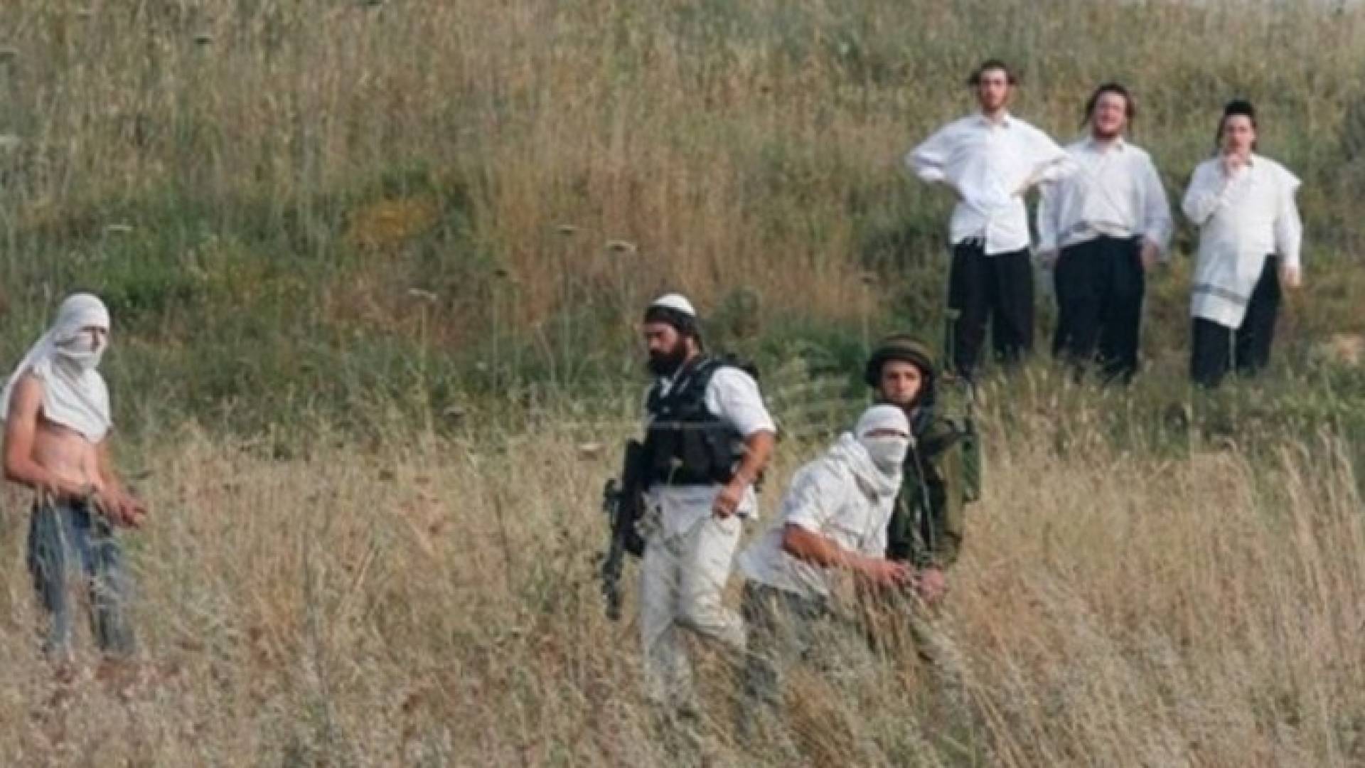 ارشيفية