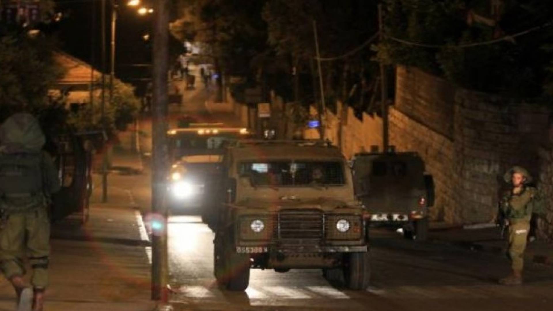ارشيفية