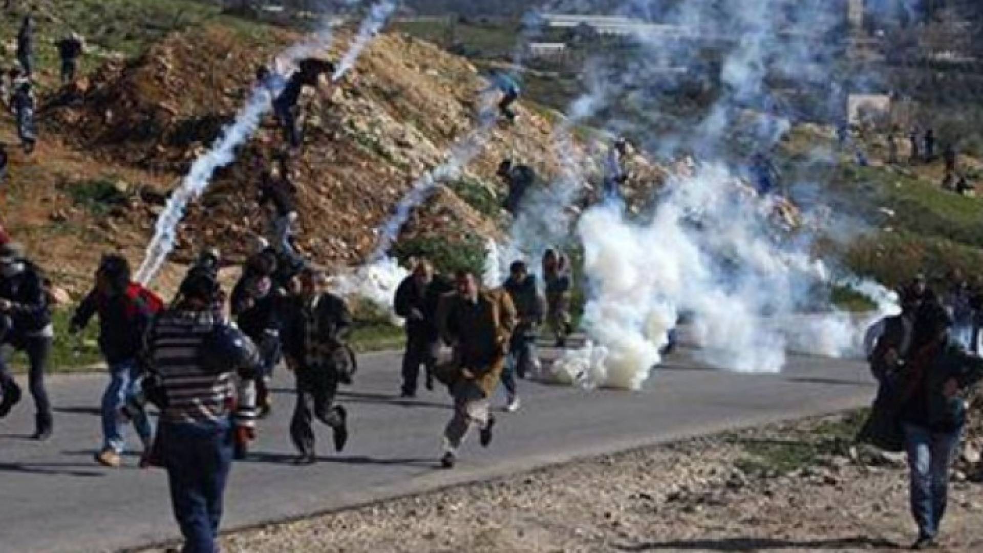 ارشيفية