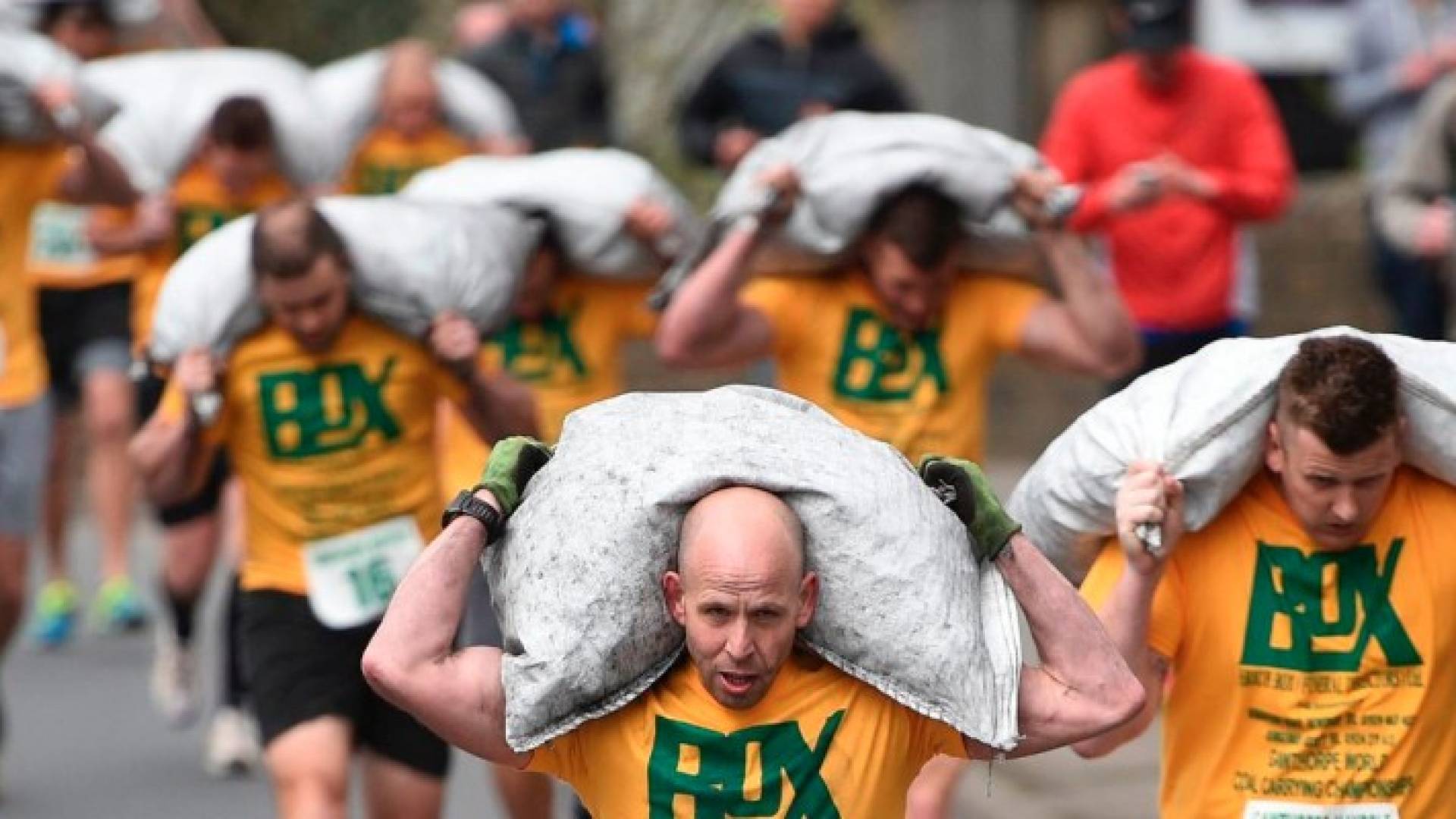 الرجال يحملون 50 كيلوغراما من الفحم