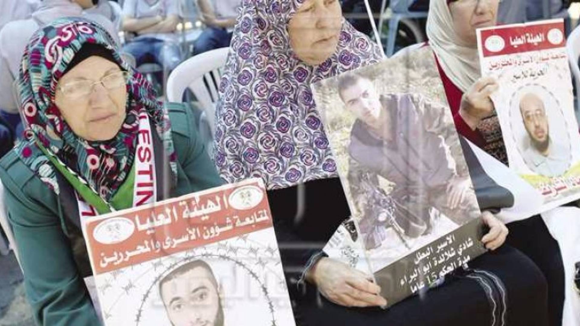 ارشيفية