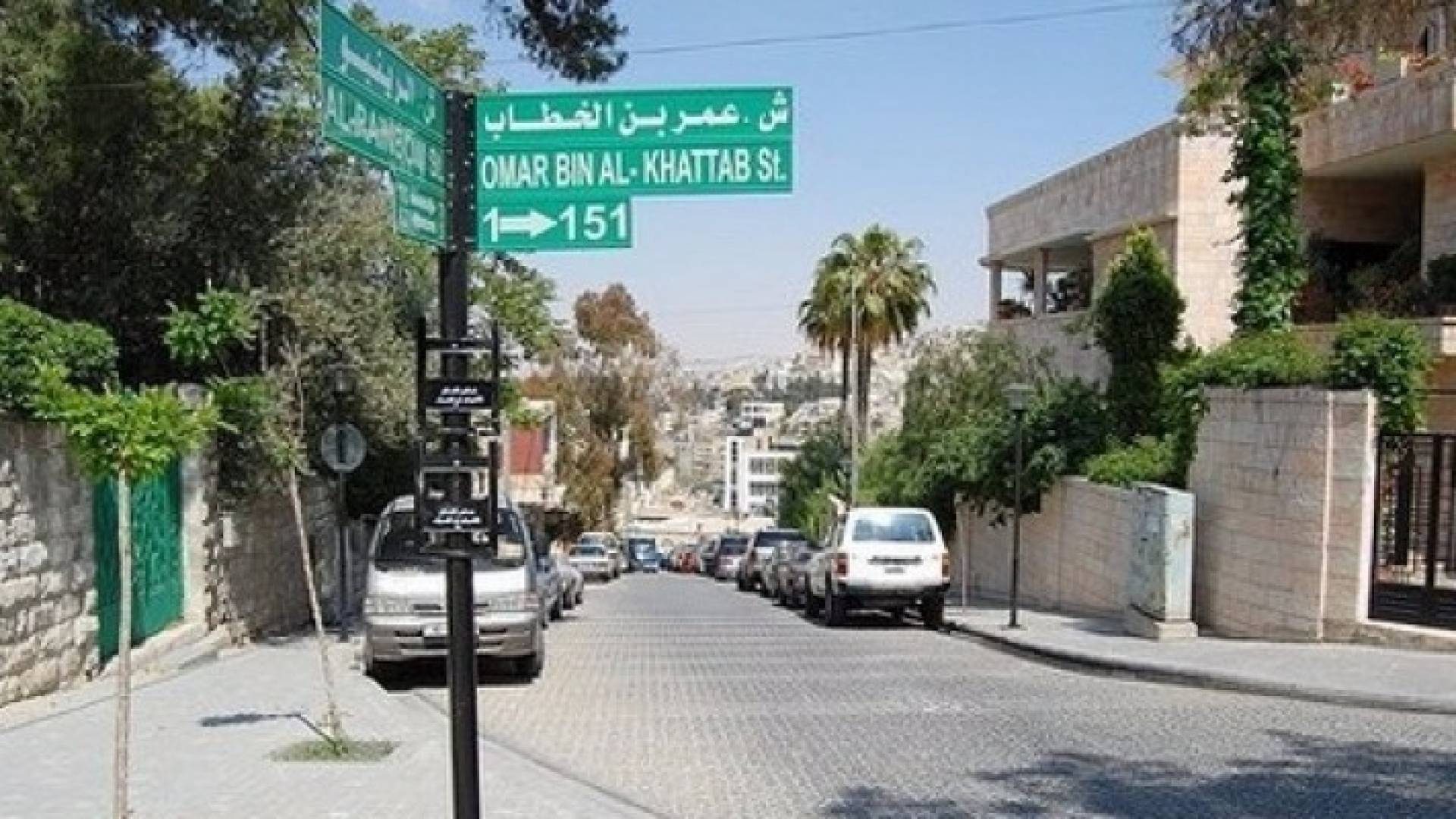 ارشيفية