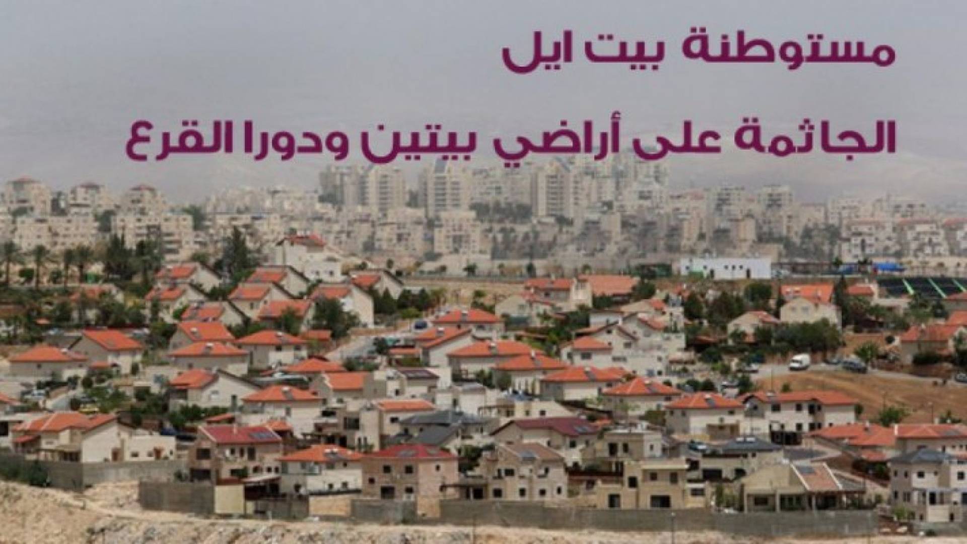 ارشيفية