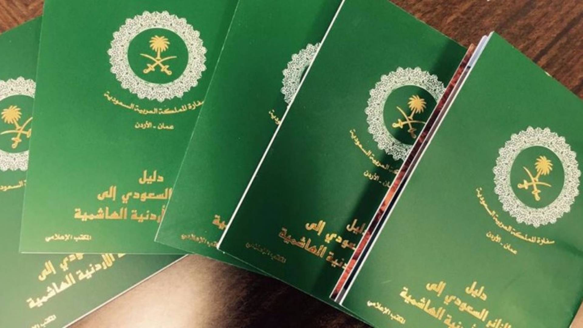 صورة عن الدليل الإرشادي 
