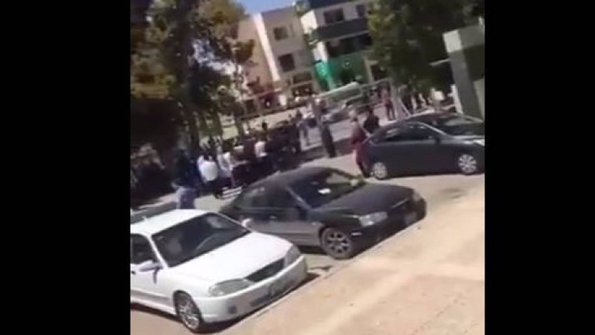 صورة من الفيديو 