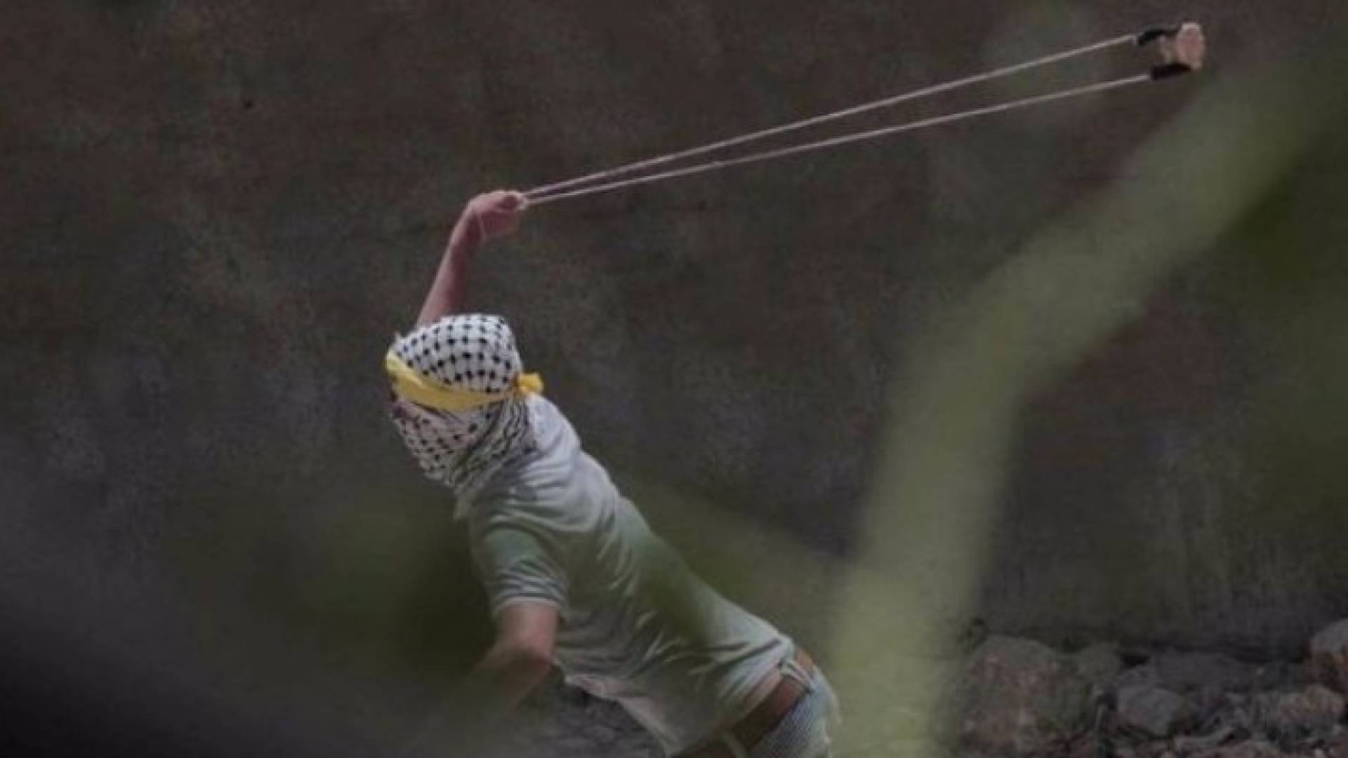ارشيفية