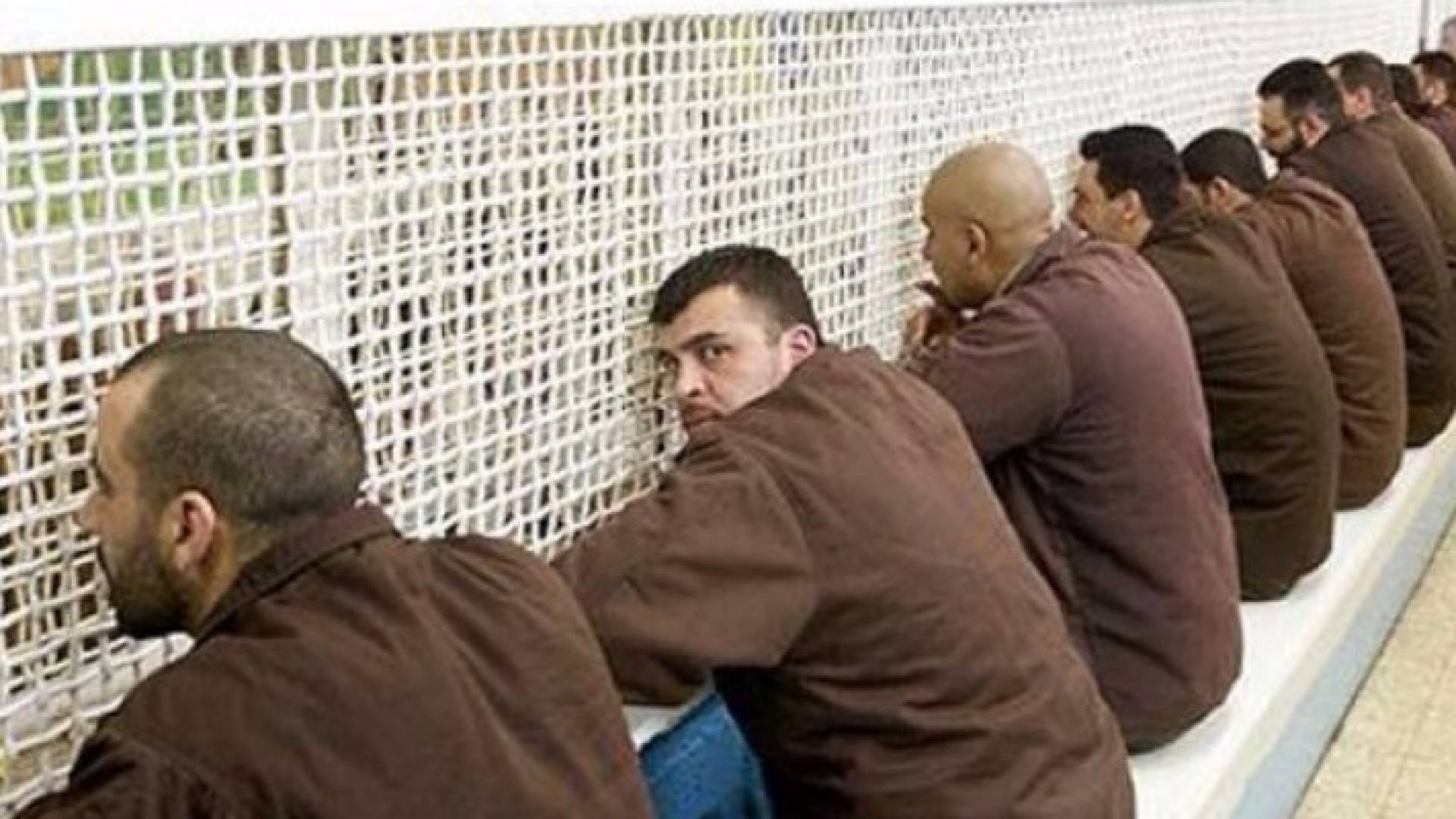 الصورة أرشيفية 