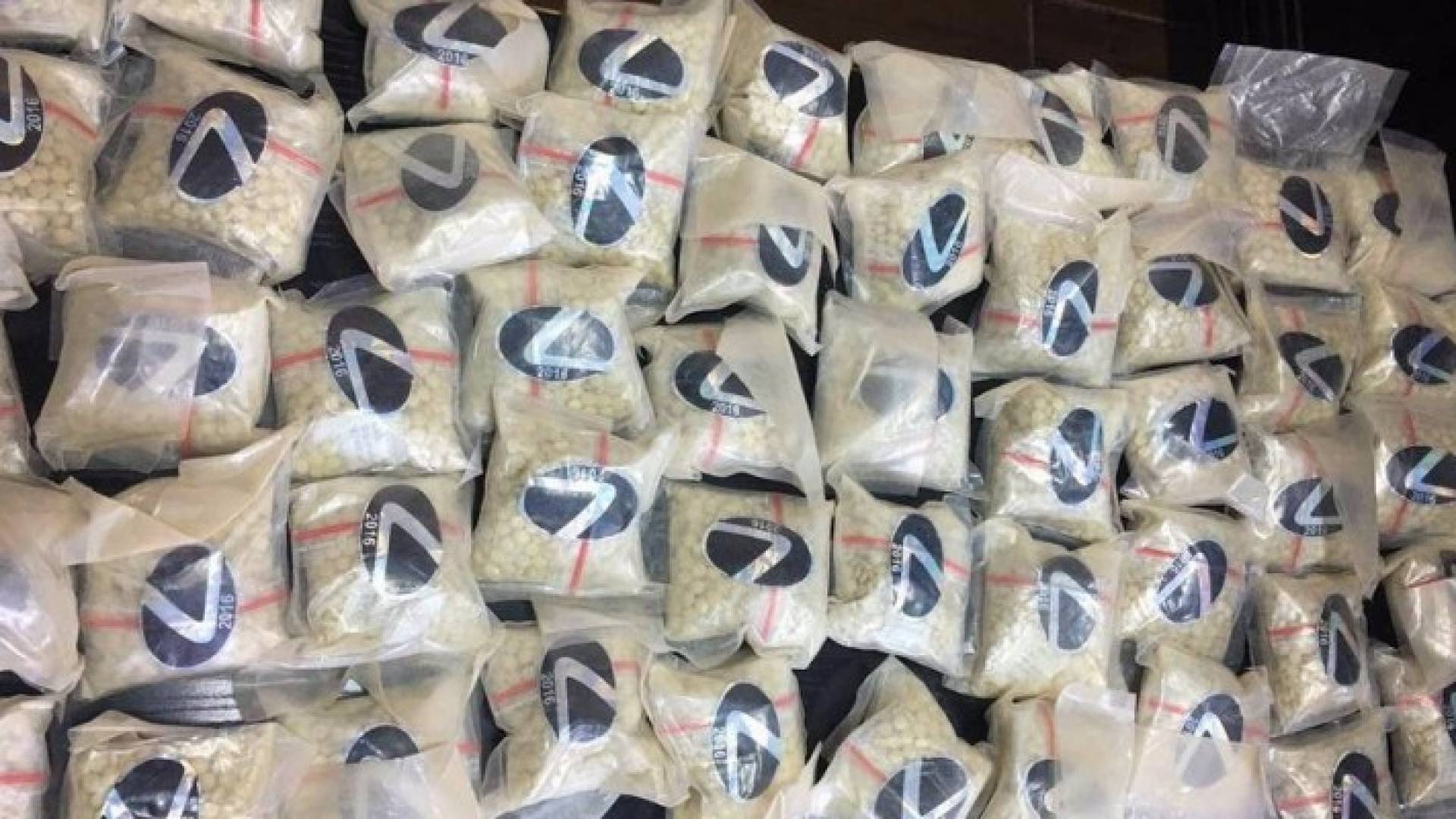 جانب من المضبوطات 