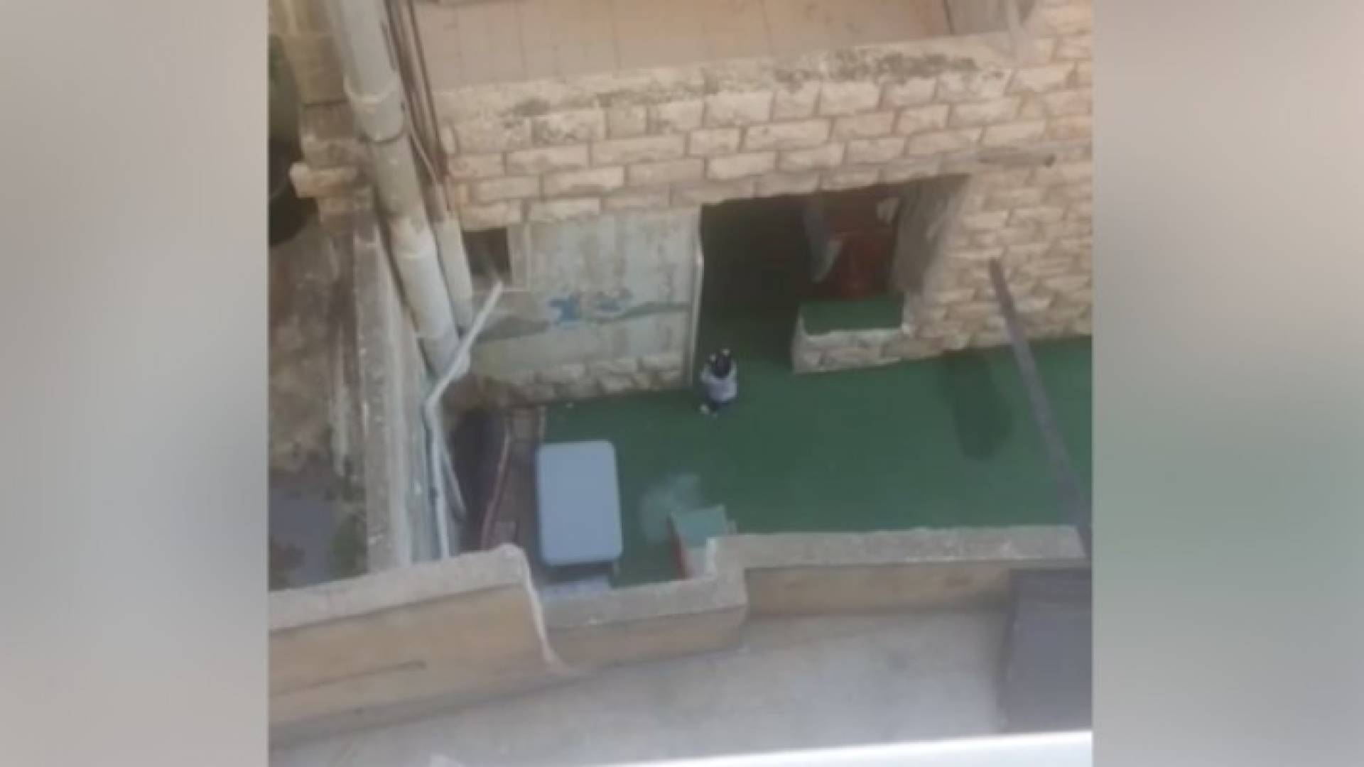 إغلاق حضانة أطفال في العاصمة عمان أساءت مديرتها معاملة طفلة