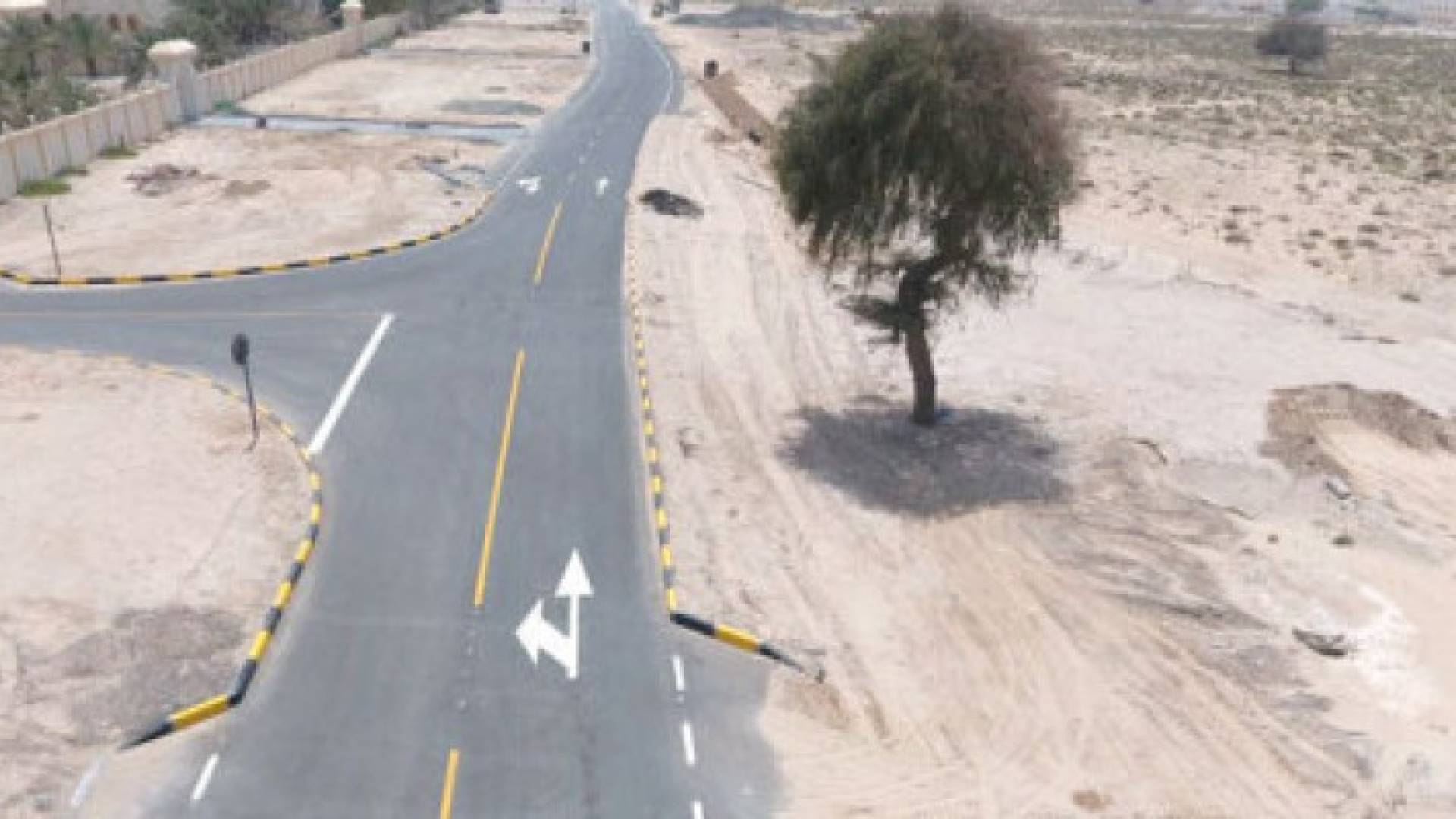 تغيير مسار طريق للحفاظ على شجرة معمرة في دولة الامارات 