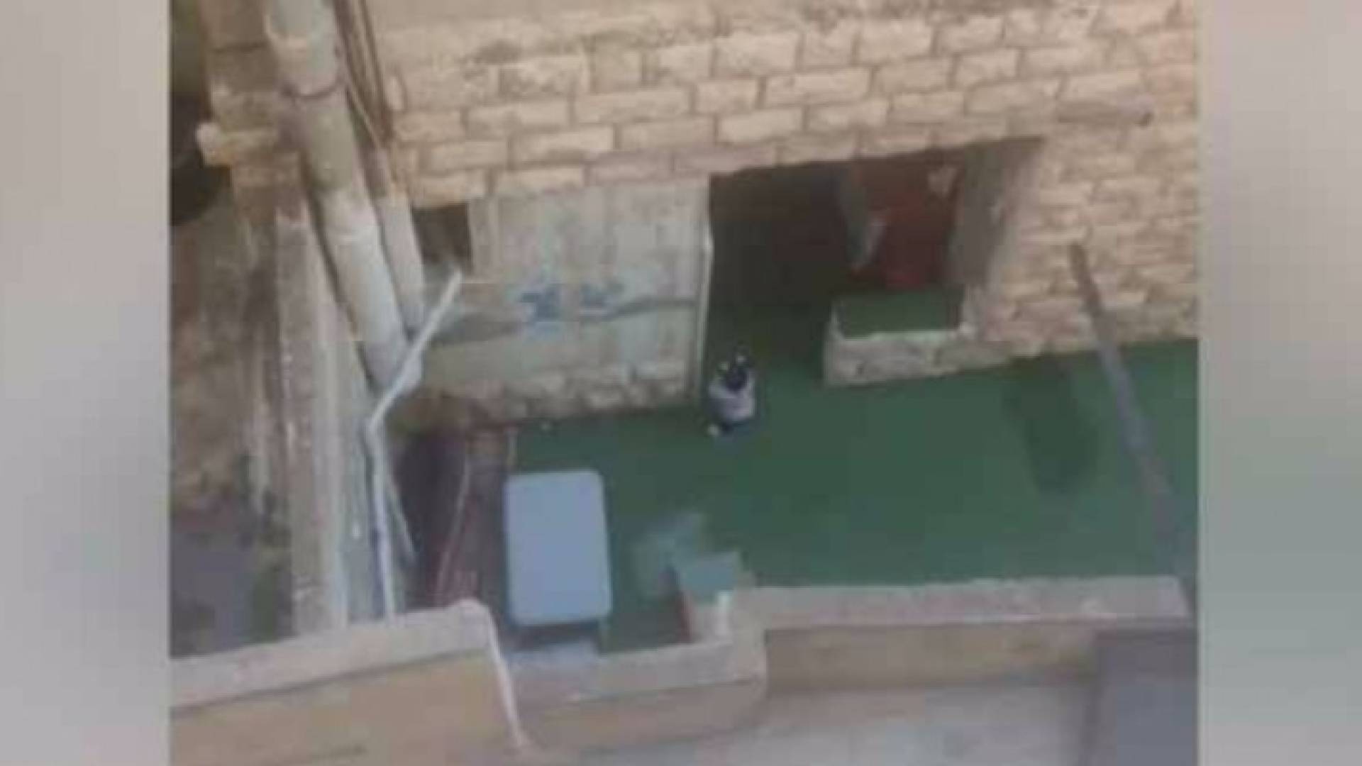 صورة من الفيديو 