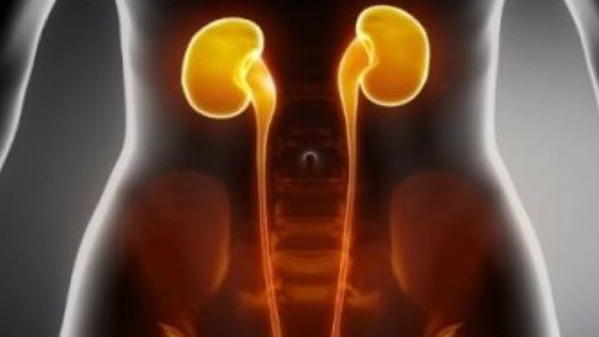 علماء أمريكيون يطورون اختبار بول يساعد فى مكافحة فشل زرع الكلى