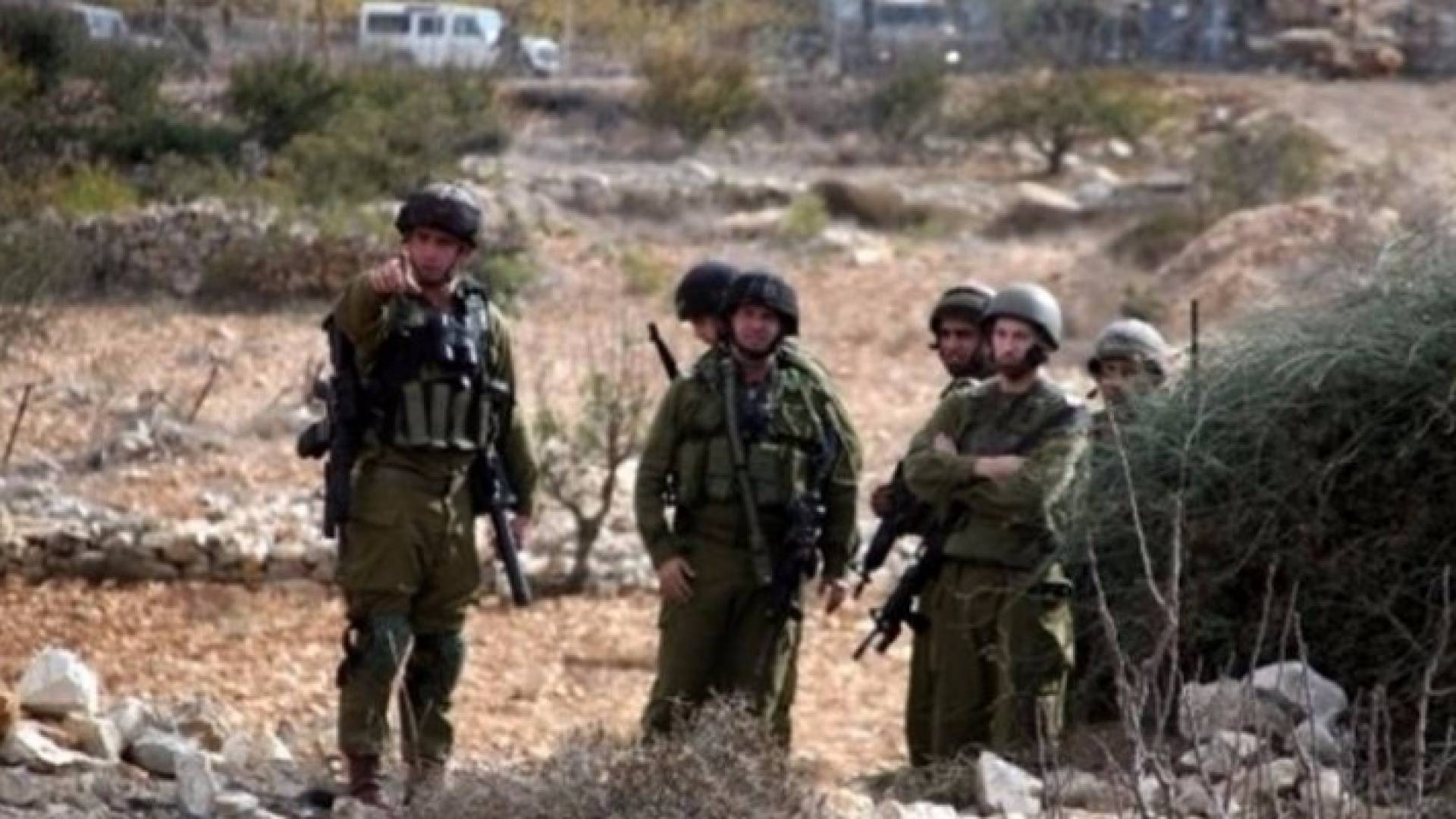 ارشيفية