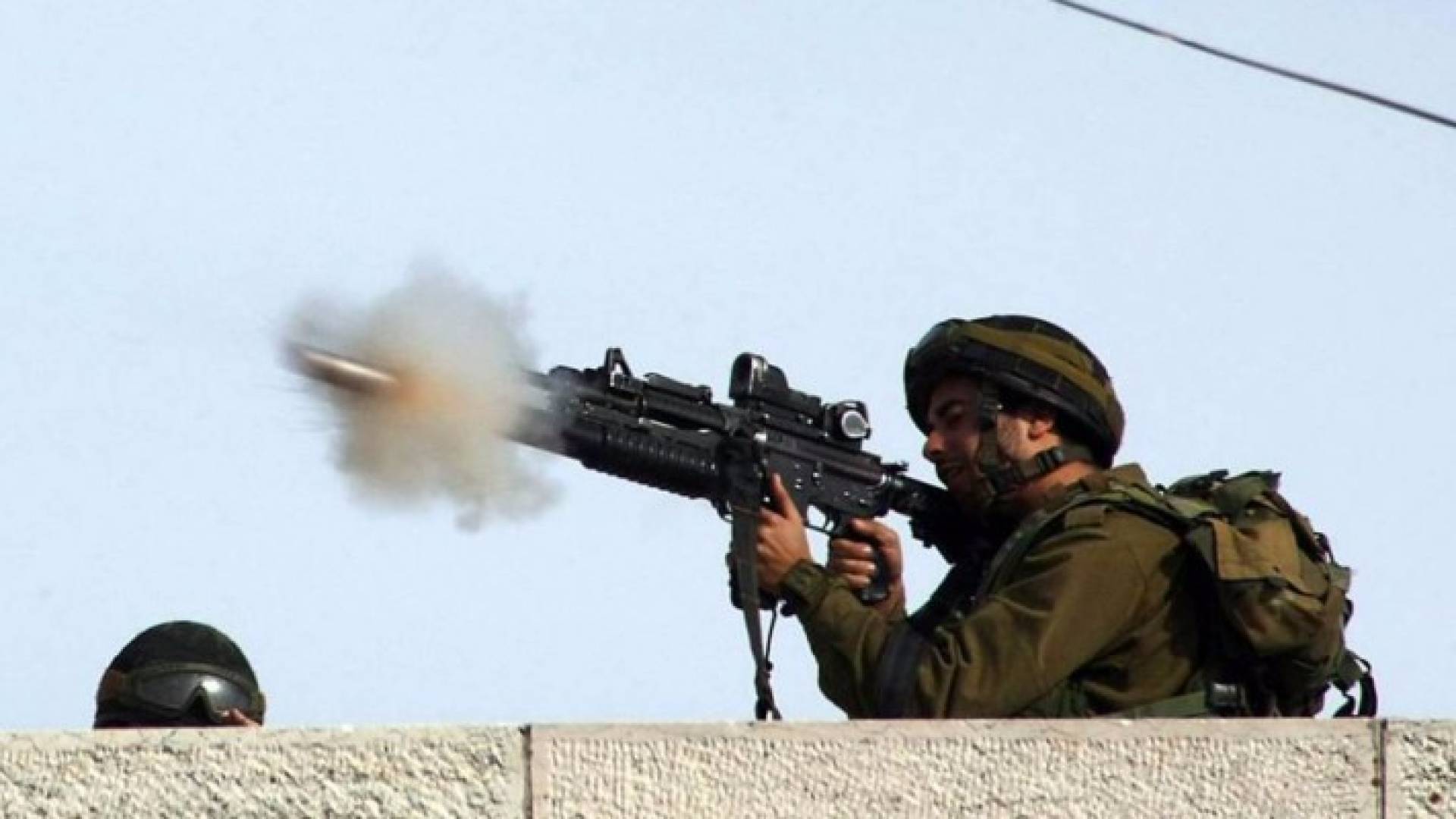 ارشيفية