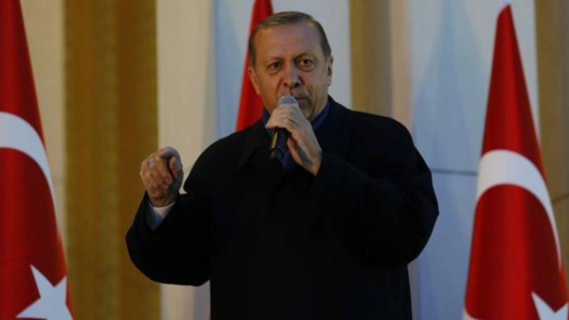 ارشيفية