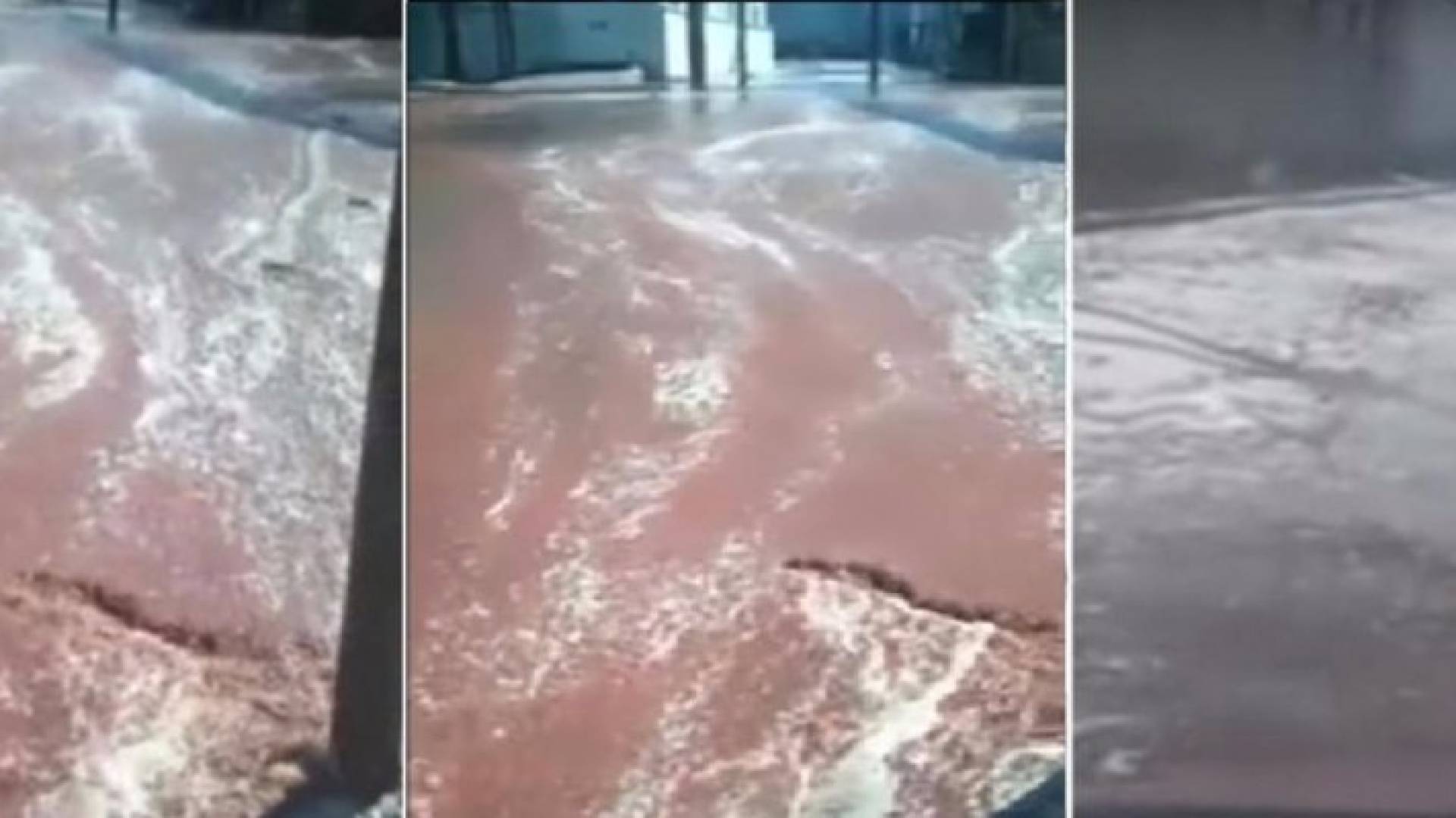 صورة من الفيديو 