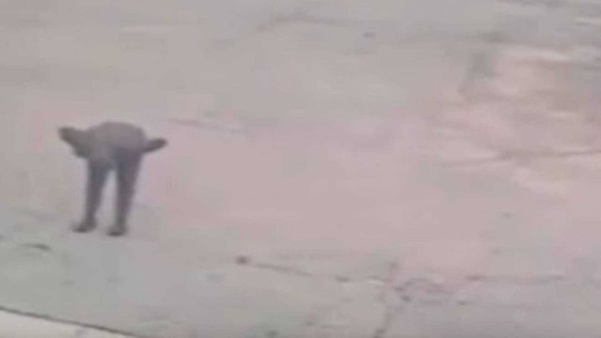 صورة من الفيديو