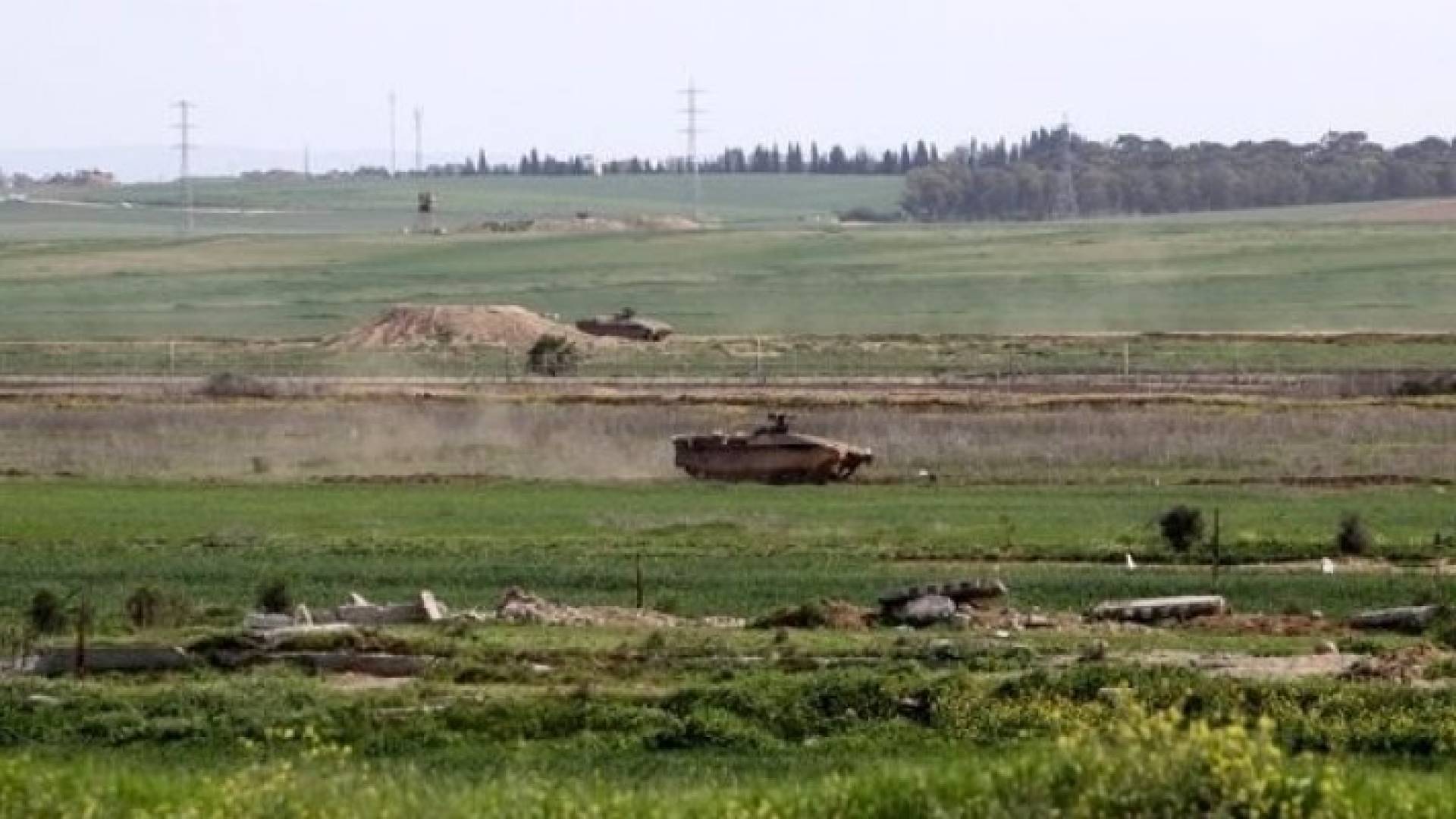 ارشيفية