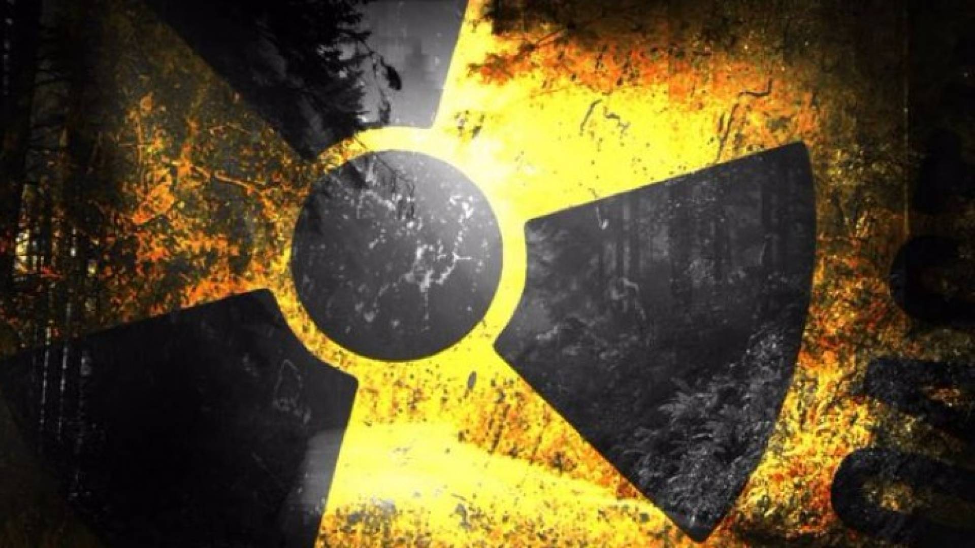 الصورة تعبيرية 