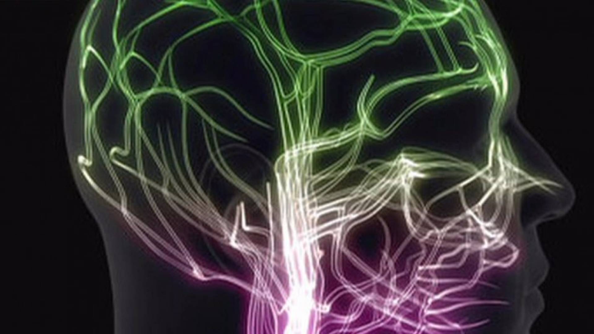 مناطق في مخ الإنسان تنشط مع اتخاذ قرارات أخلاقية