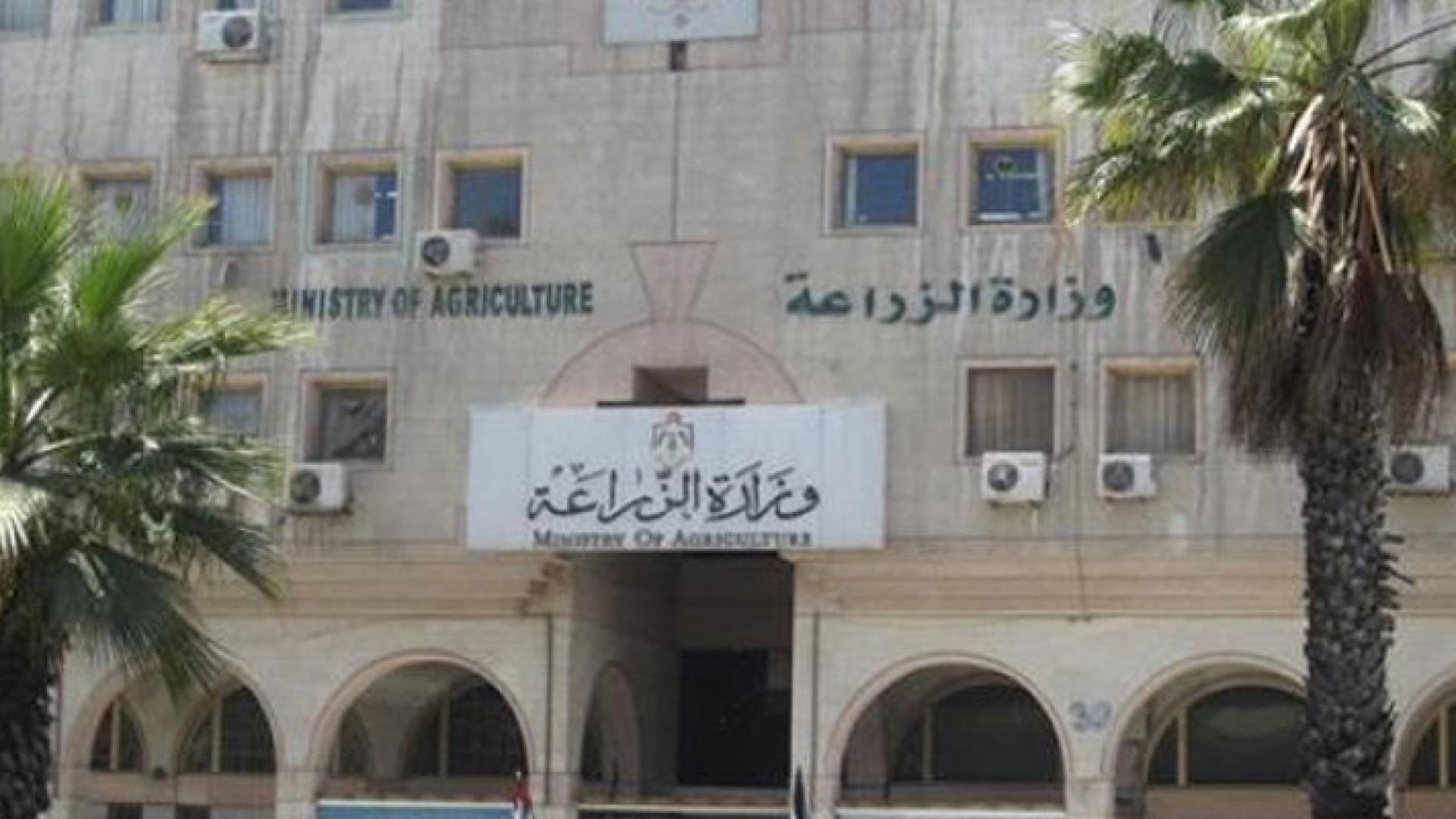 ارشيفية