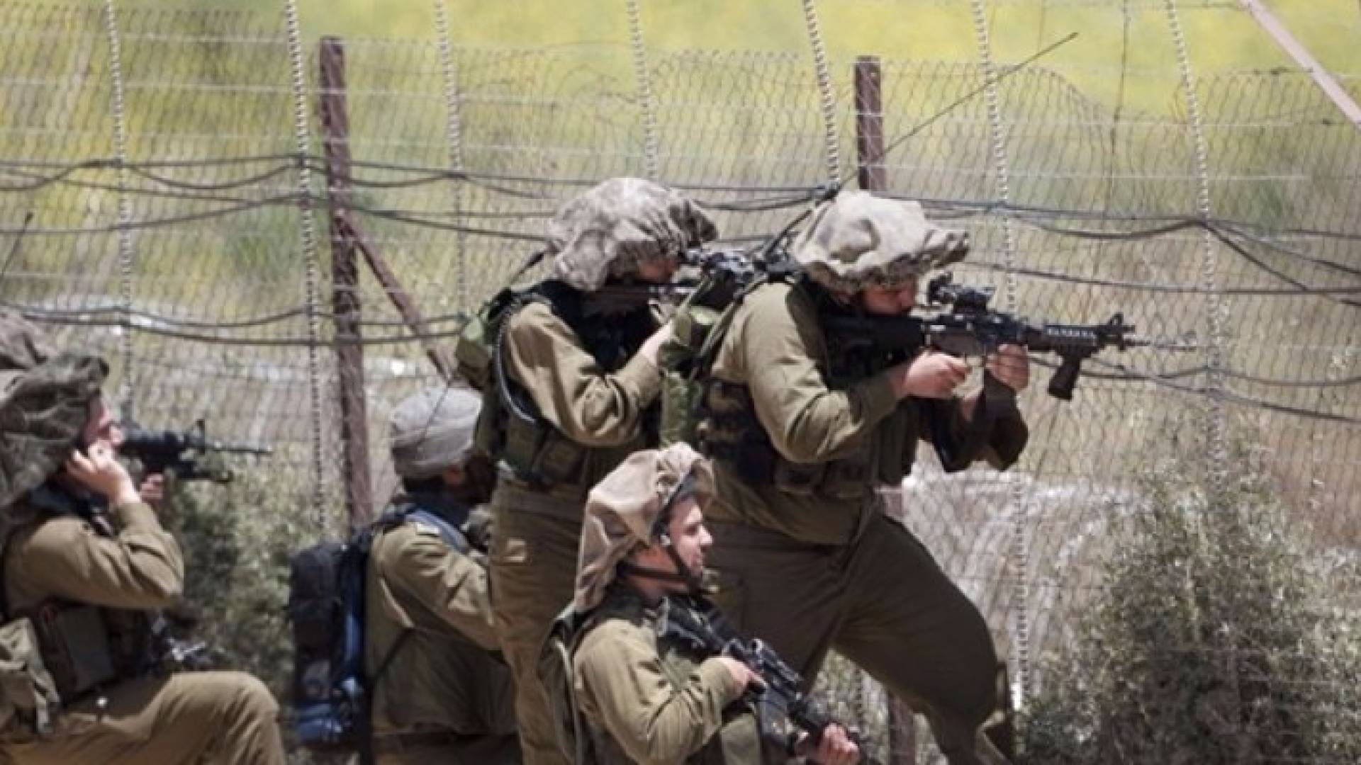 ارشيفية