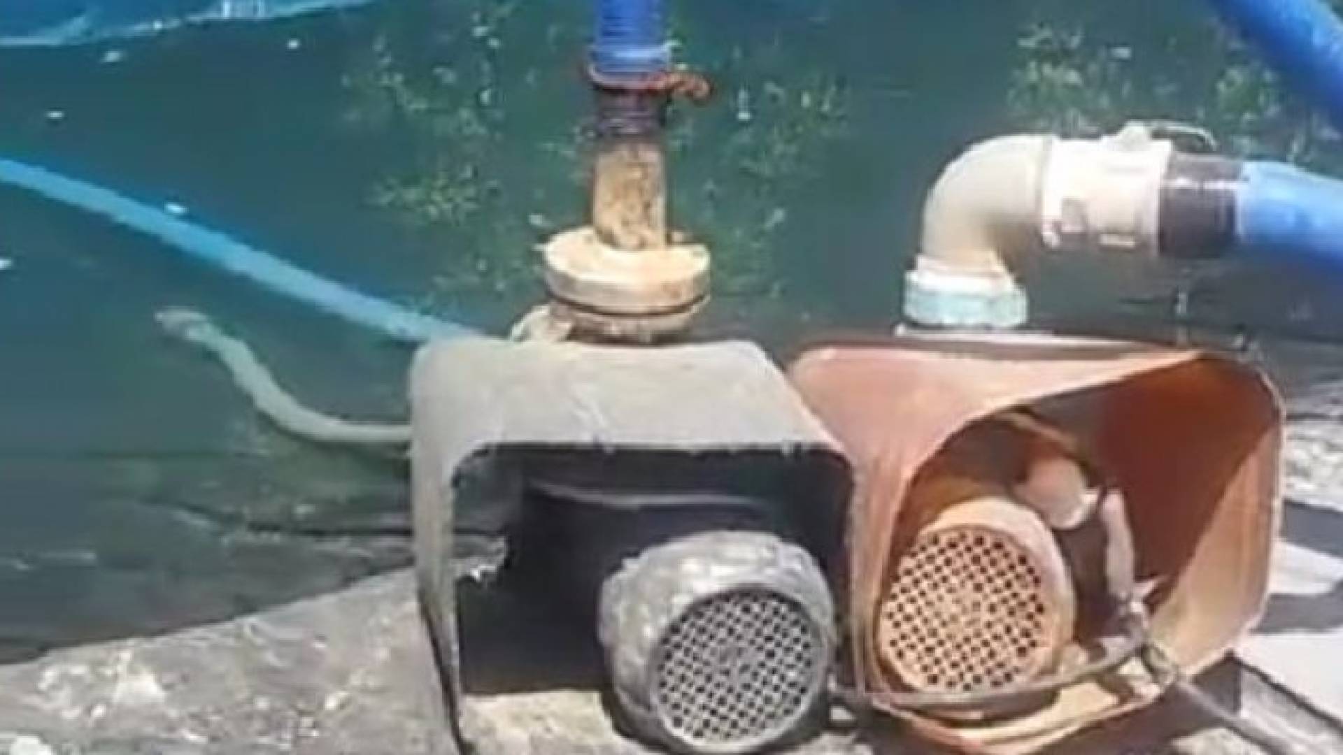 جانب من عمليات الضبط 