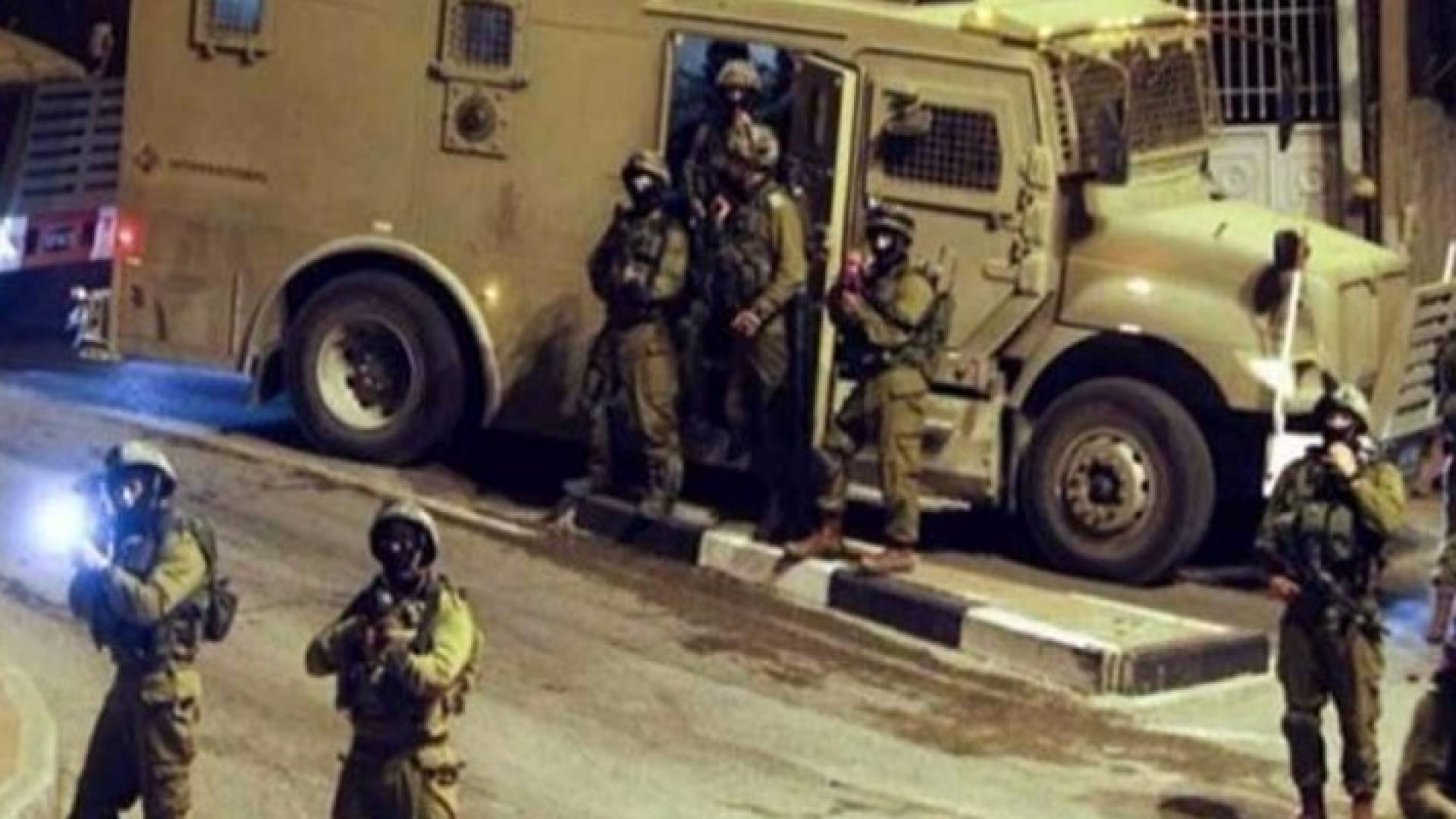 ارشيفية 