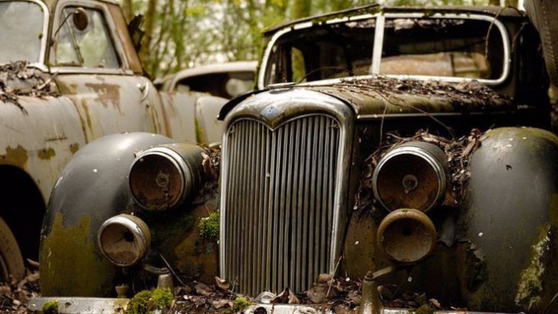 طلاب جامعة يصممون أول سيارة قابلة للتحلل