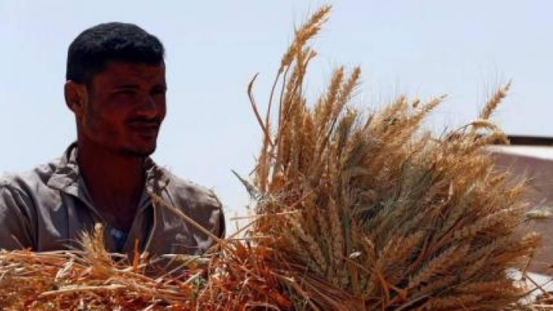 الصورة أرشيفية 