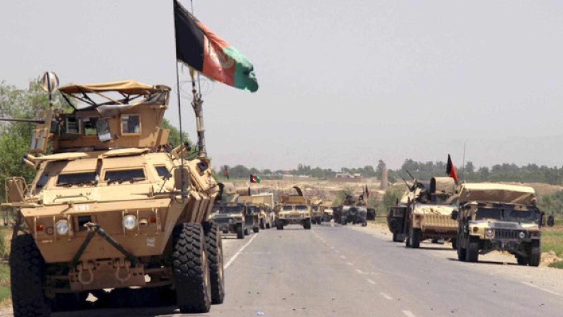 ارشيفية