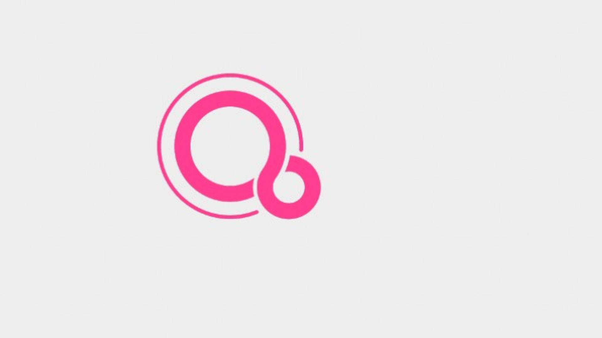 الكشف عن واجهة المستخدم لنظام فوشيا السري من جوجل