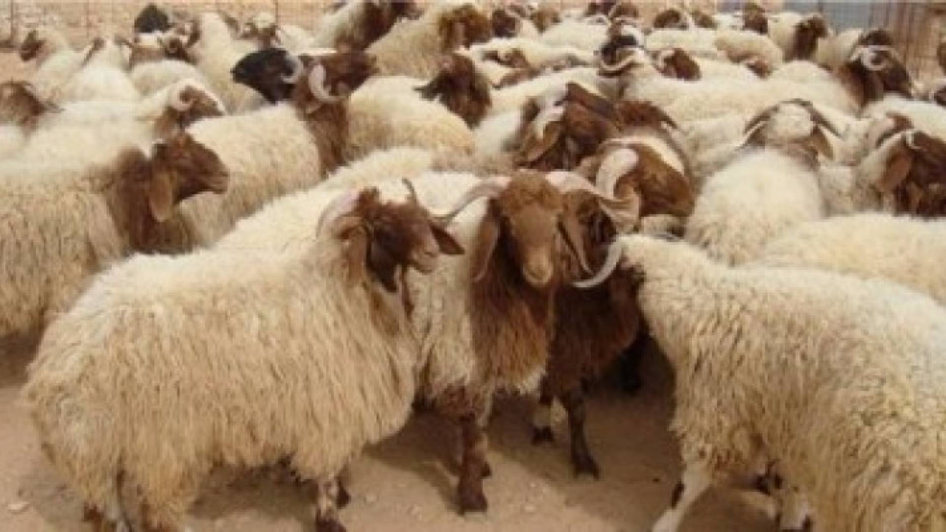 تعبيرية