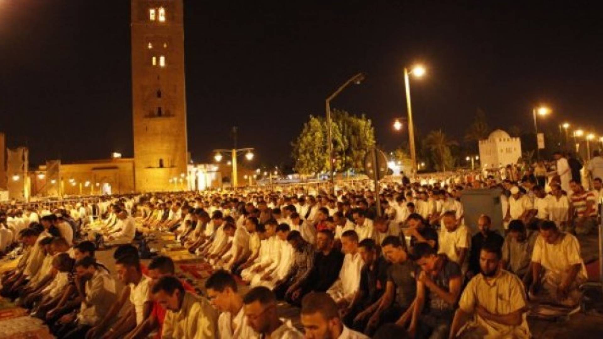 ارشيفية
