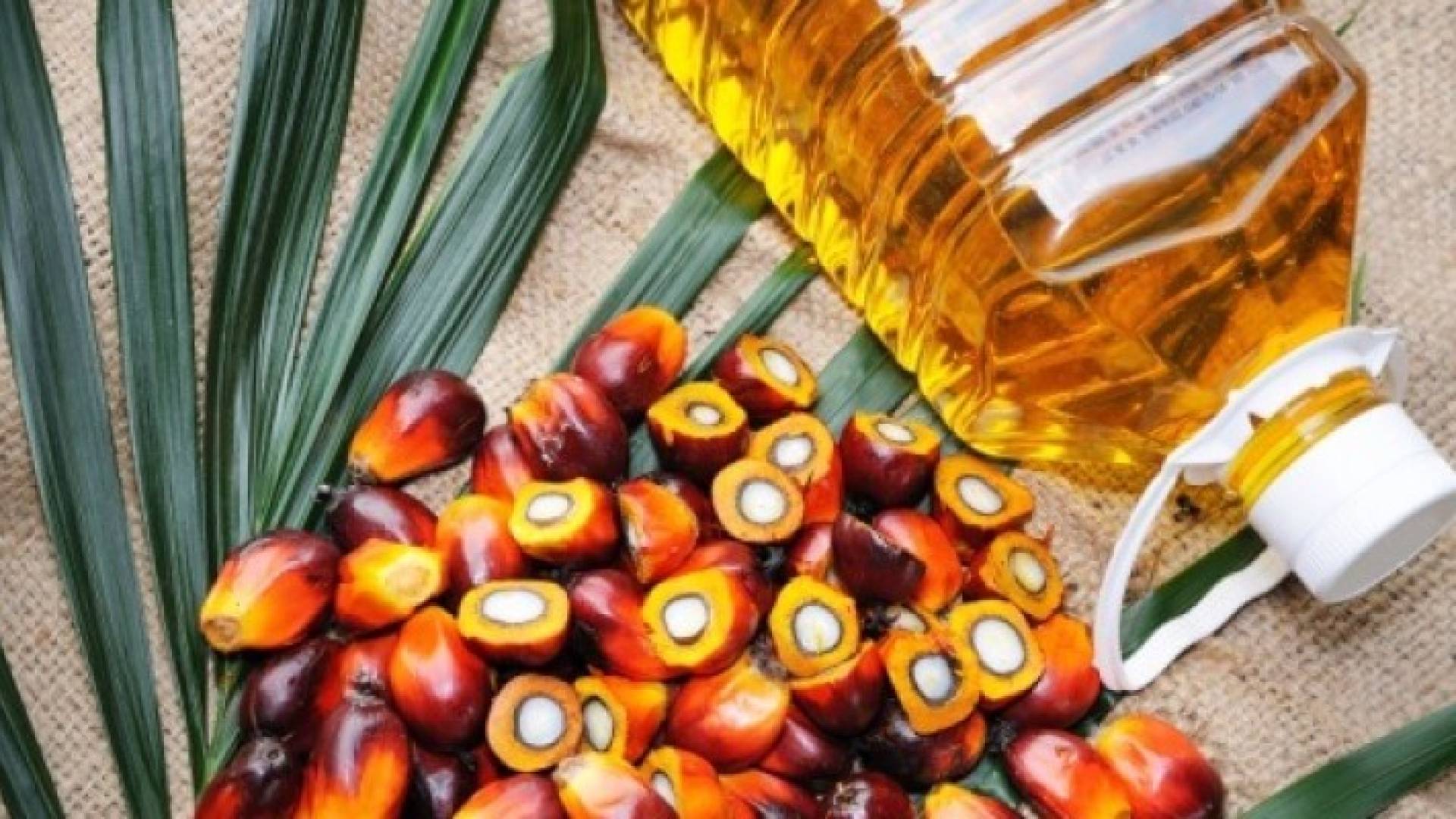 الصورة تعبيرية 